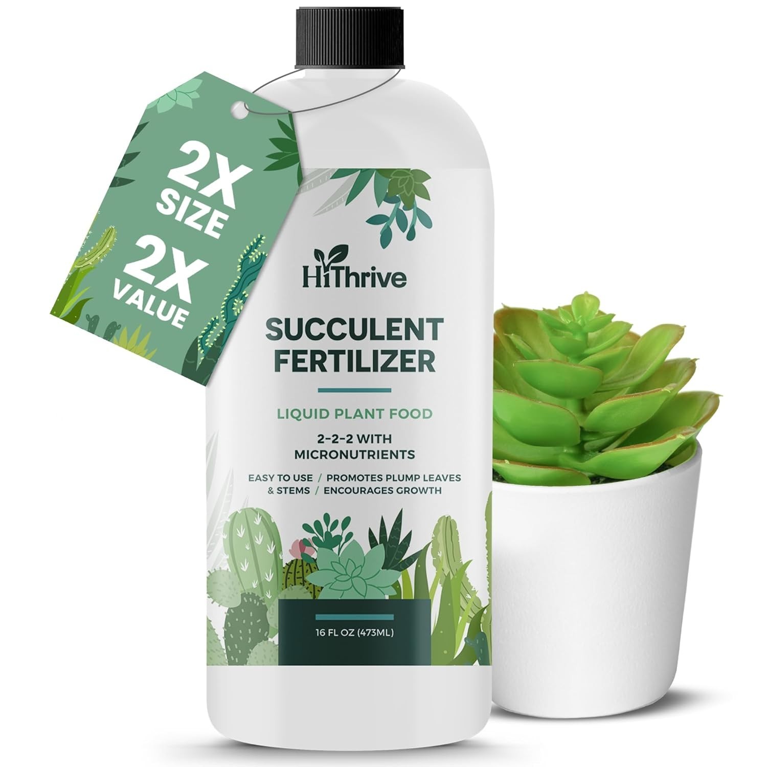 Succulent Fertilizer for Vibrant Leaves, Strong Roots & Plump Growth, 16oz | …
