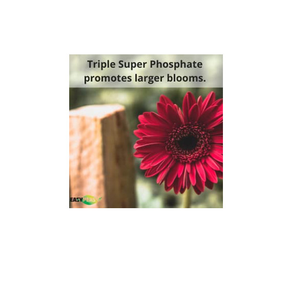 TRIPLE SUPER PHOSPHATE FERTILIZER 0-46-0 | Phosphorus Fertilizer for Gardens, La