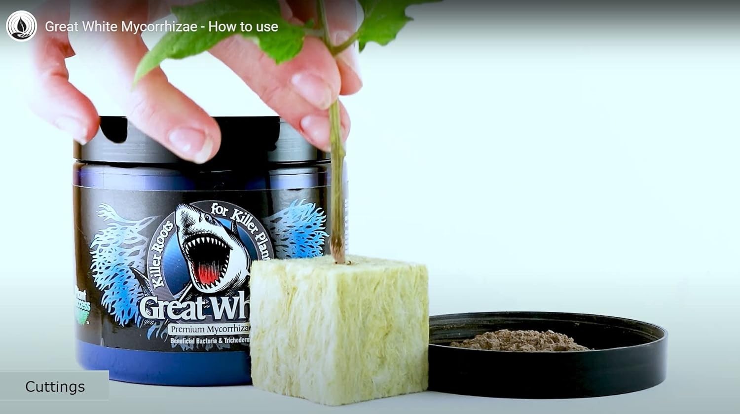 Enhance Plant Health: 1 Oz Mycorrhizal Fungi for Germination & Nutrient Boost
