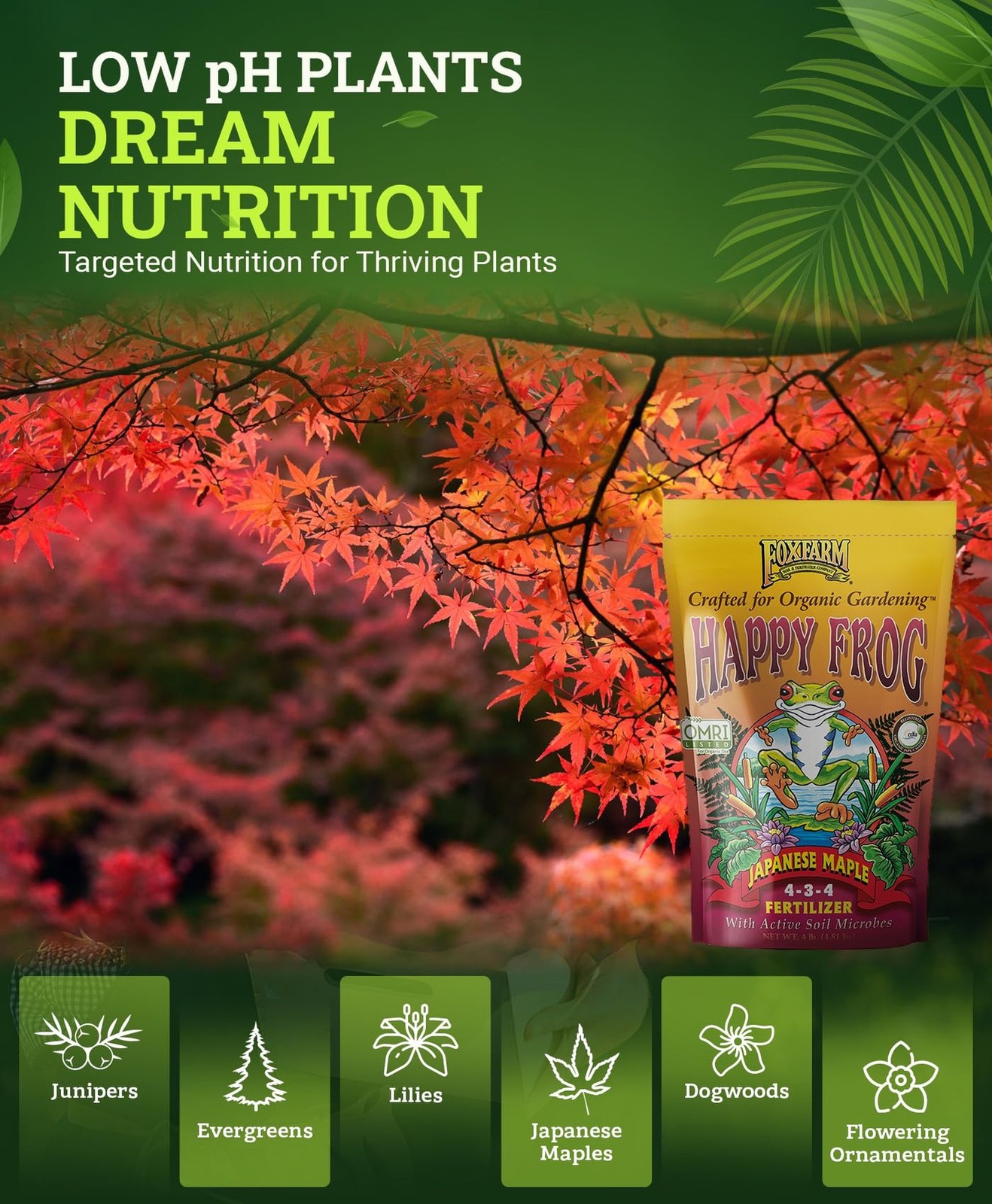 FoxFarm Happy Frog Japanese Maple Fertilizer, Nutrient-Rich Formula for Japan…