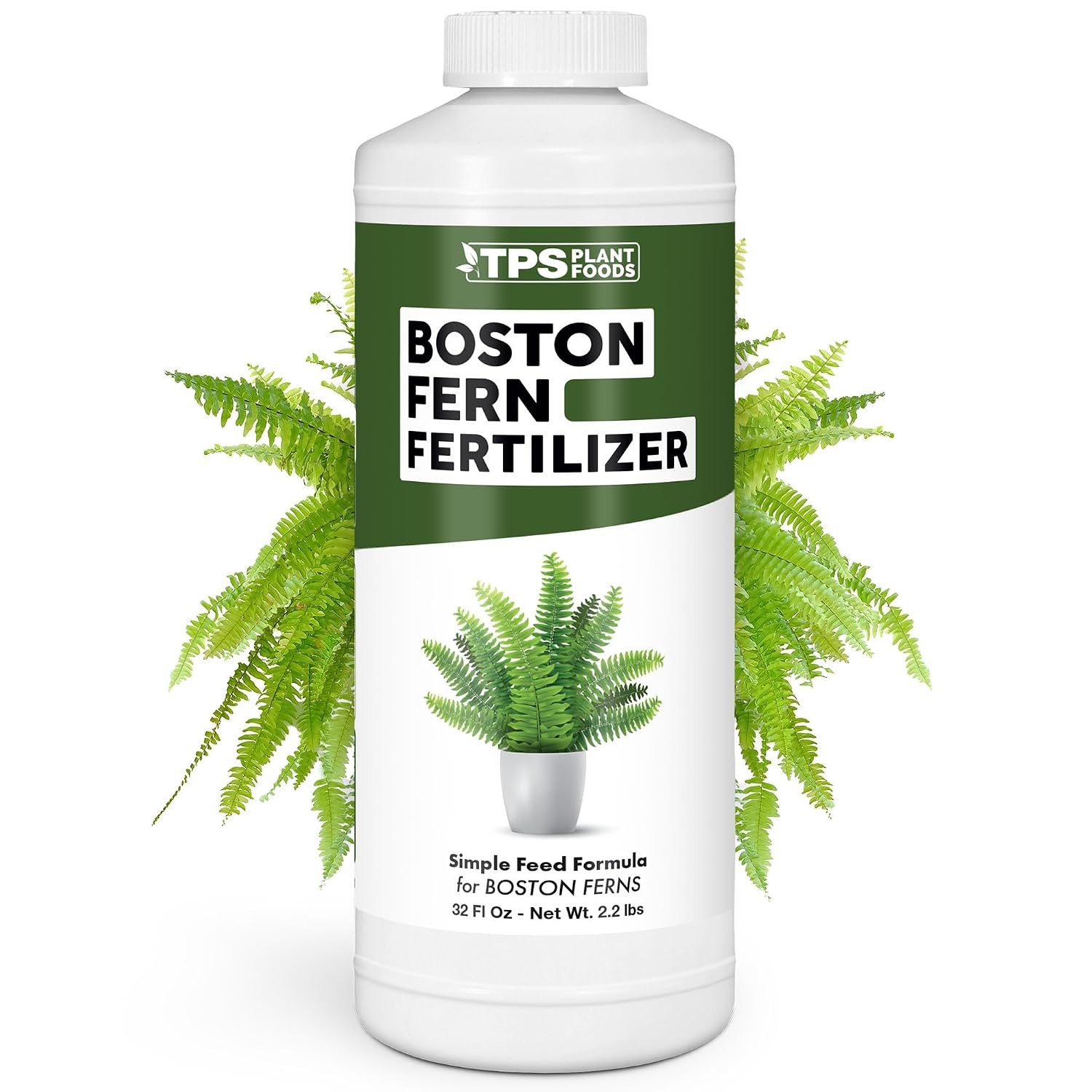 Boston Fern Fertilizer – Liquid Plant Food Fuller Fronds Rich Green Color &