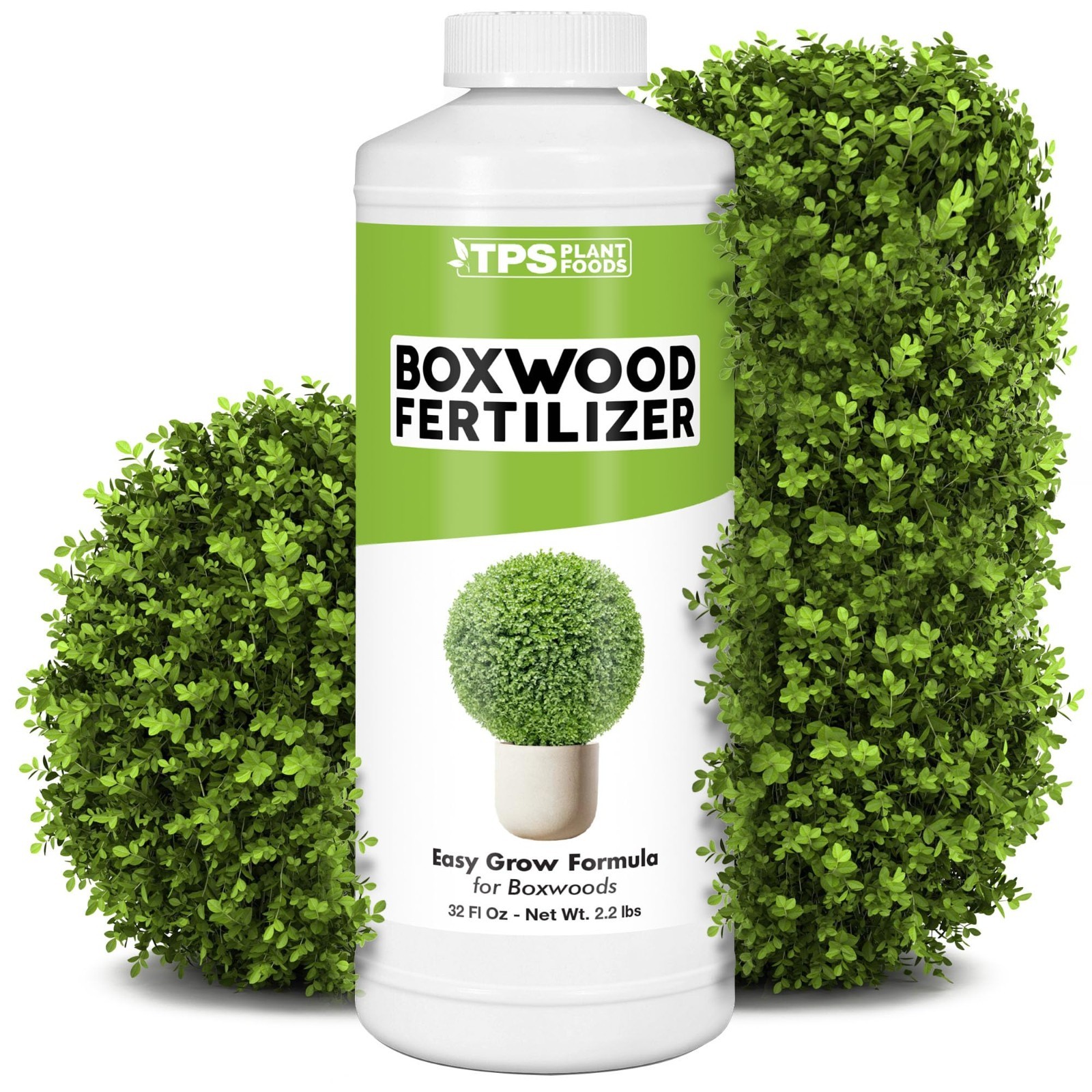 Liquid Boxwood Fertilizer – Plant Food for Lush Growth, Vibrant Foliage, 32 oz