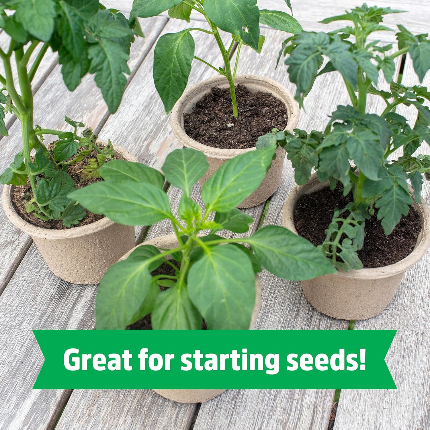 Organic Seed Starting, Compressed Block Expands to 12 Quarts, Made for Herbs, Ve