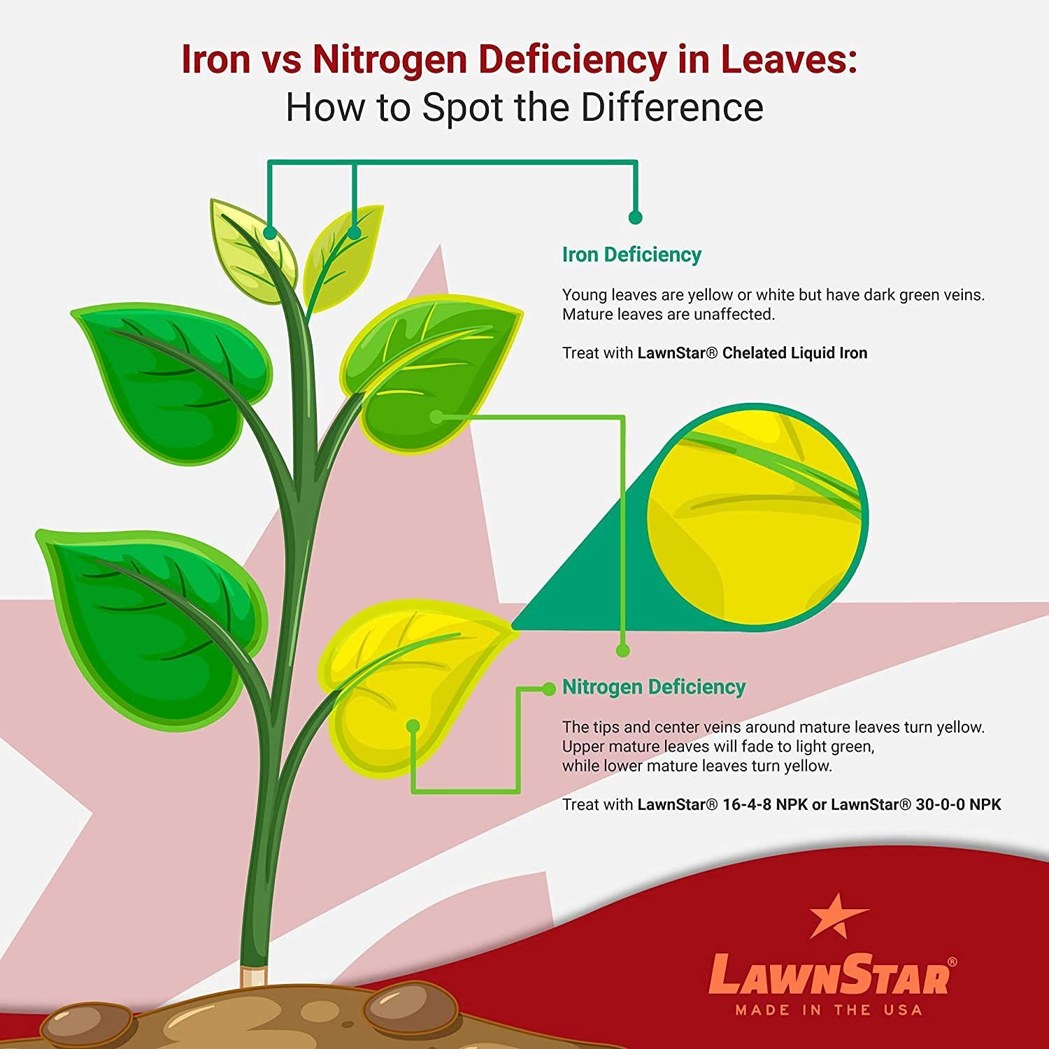 Liquid Iron 1 Gallon for Plants – Multi-Purpose, Suitable for Lawn, Flowers, …