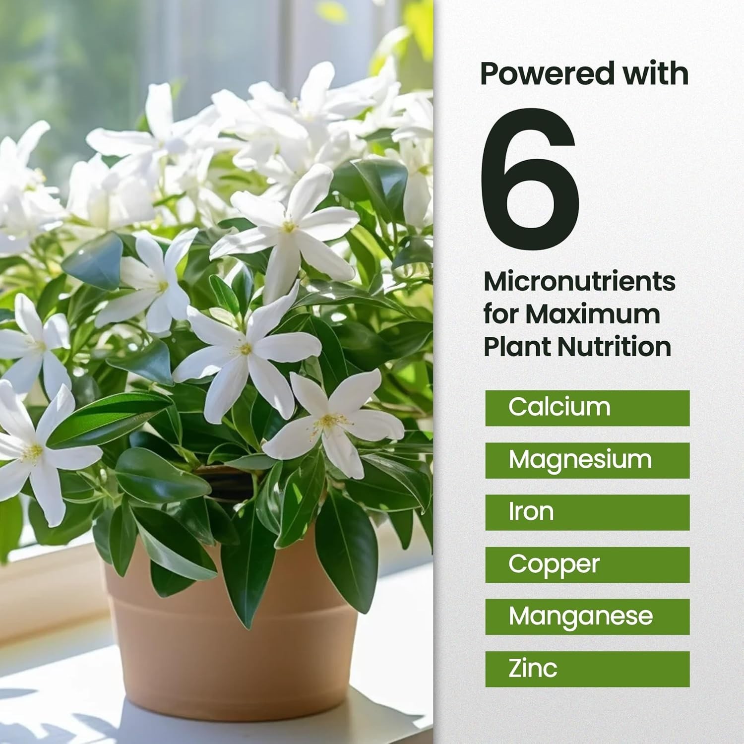 16oz Jasmine Fertilizer – Promotes Vibrant Blooms & Growth for Indoor & Outdo…