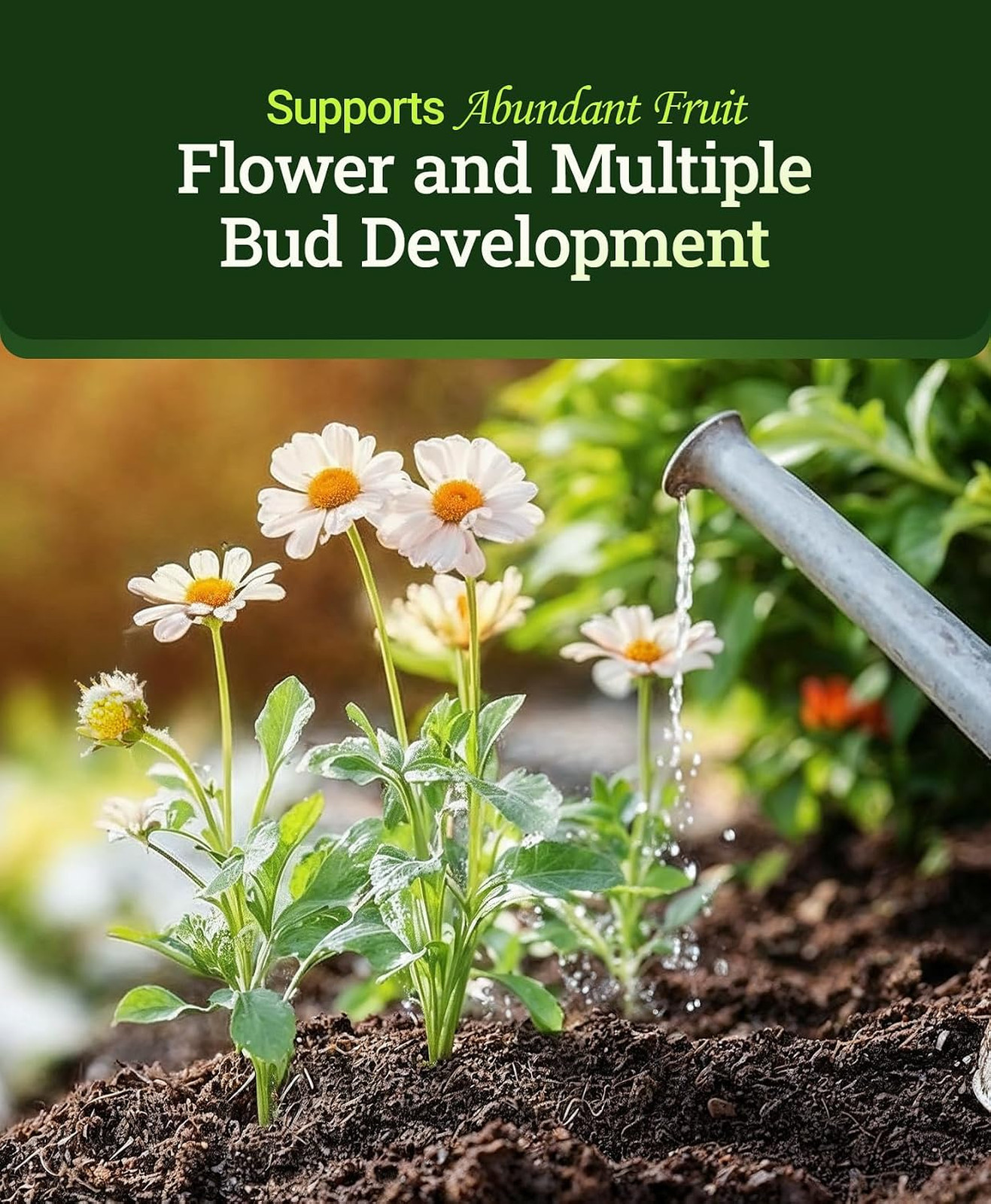 Liquid Plant Food Fertilizer 2-8-4 for Buds Blooms Flowers Supports Soil
