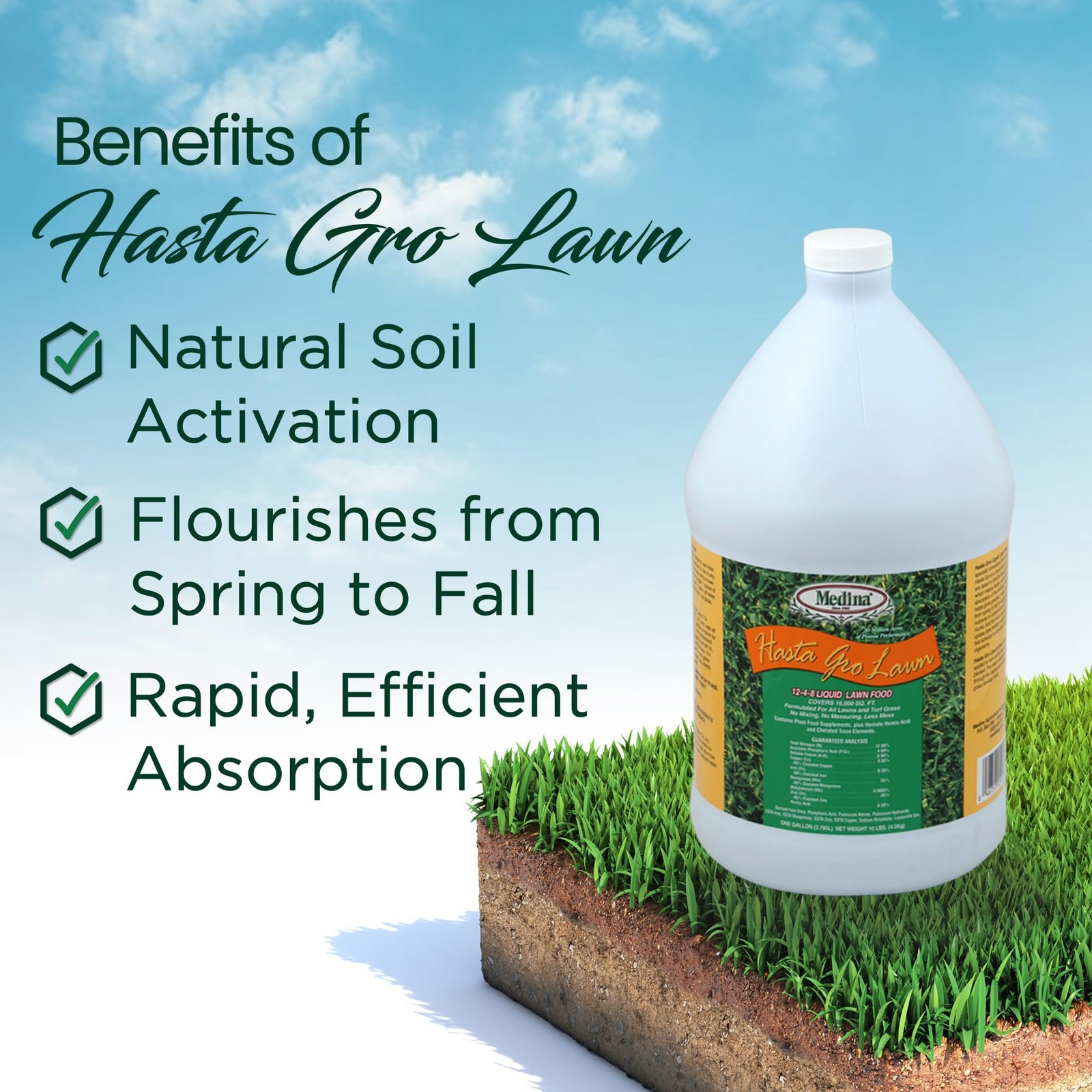 Medina HastaGro Liquid Lawn Fertilizer 1248 Liquid Fertilizer for Lawns, Rea…