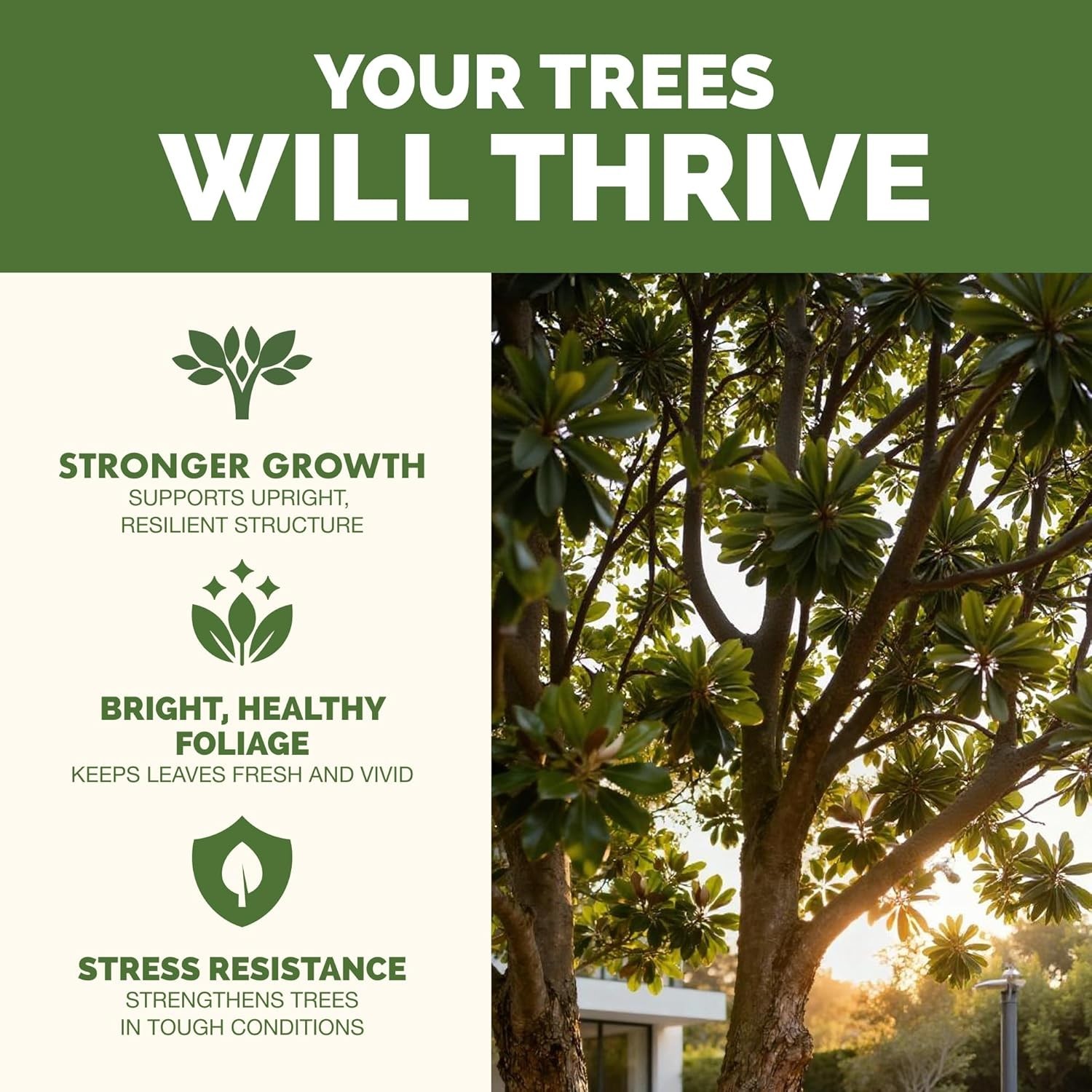 1 Gallon Tree Fertilizer to Enhance Growth, Roots & Leaf Vitality – Made in USA