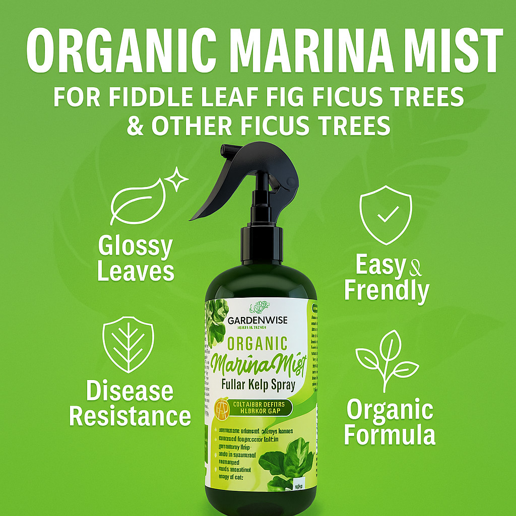 Fiddle Leaf Fig Spray – Organic Liquid Kelp Foliar Plant Food (8–16 oz)