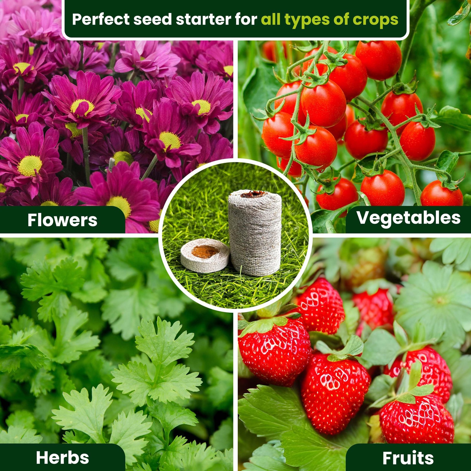 Gro Med Organic Coco Coir Seed Starter Pellets NPK Enriched 50 Pcs 35mm Perfect