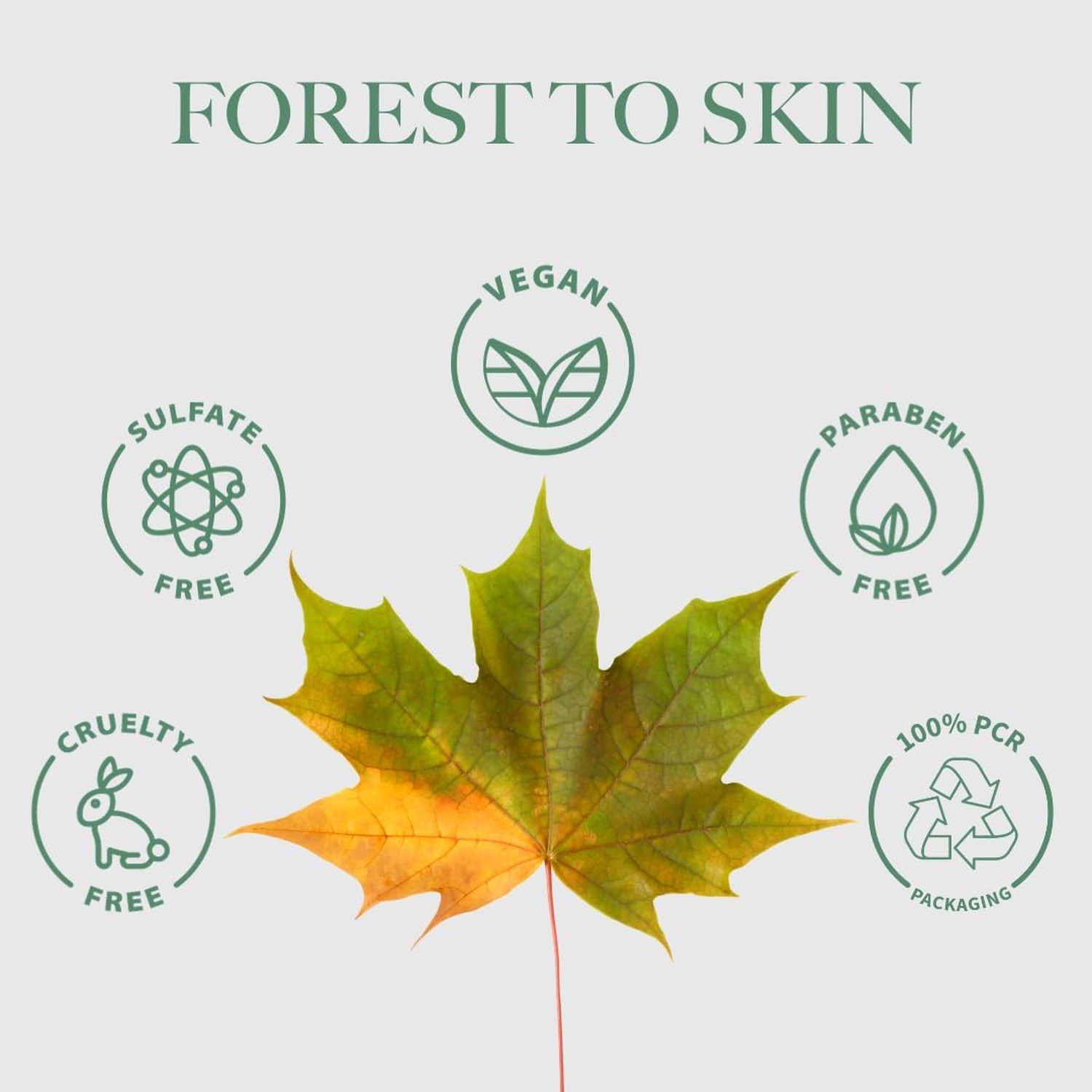 Body Butter – Nutrient-Dense and Deeply Hydrating for Healthy-Looking Skin