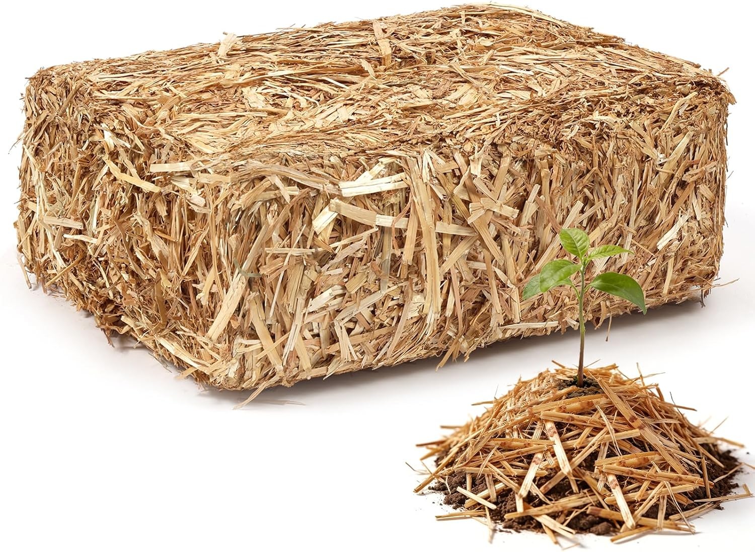 Organic Garden Straw,Biodegradable Straw Mulch Vegetable Garden,Hay Grass Seed