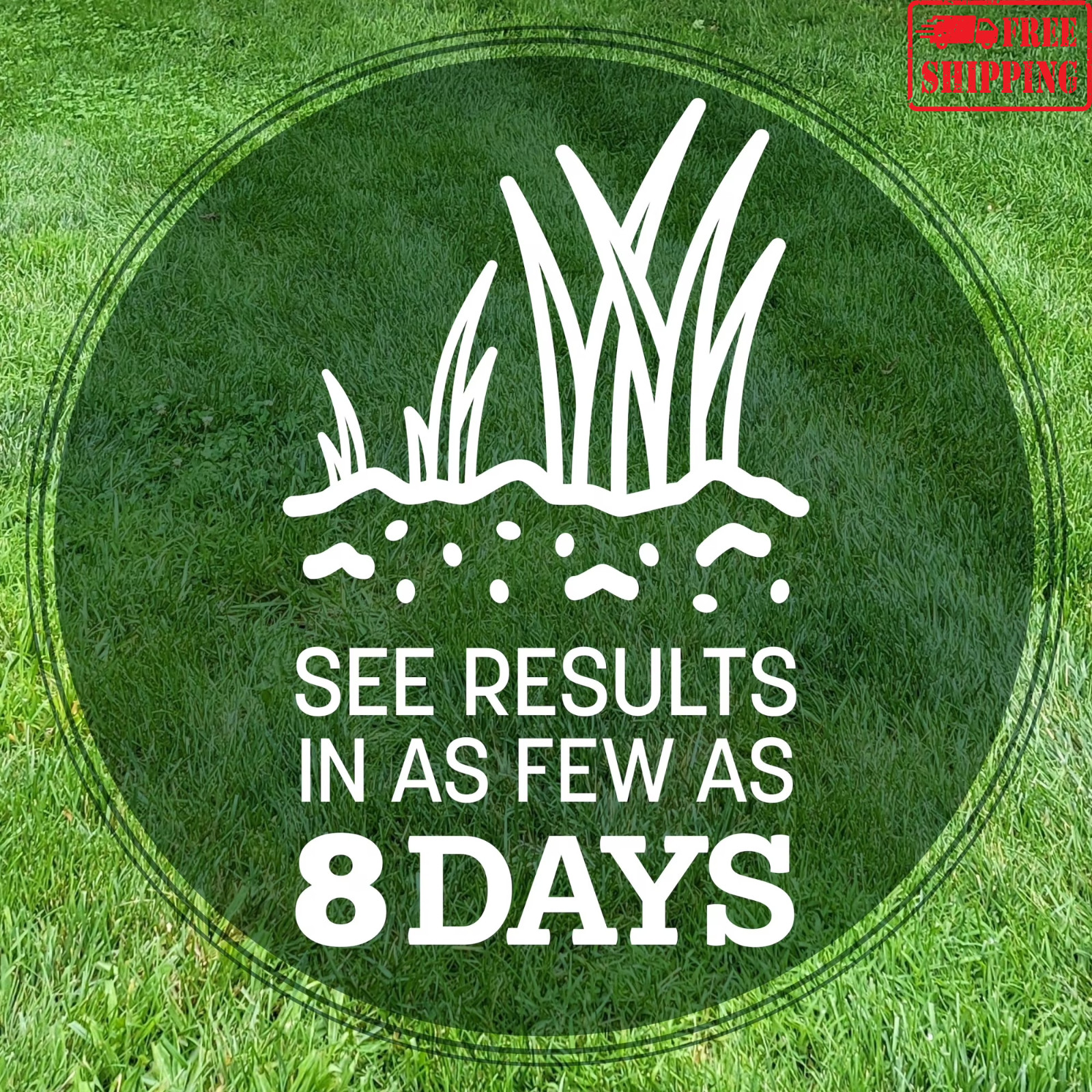 Pennington Kentucky 31 Tall Fescue Grass Seed 20 lb Sun Partial Shade Lawn