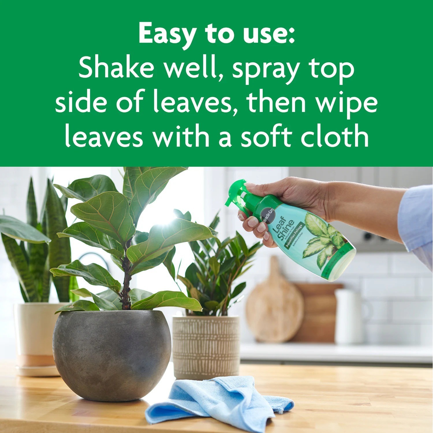Miracle Gro 8 fl oz Leaf Shine