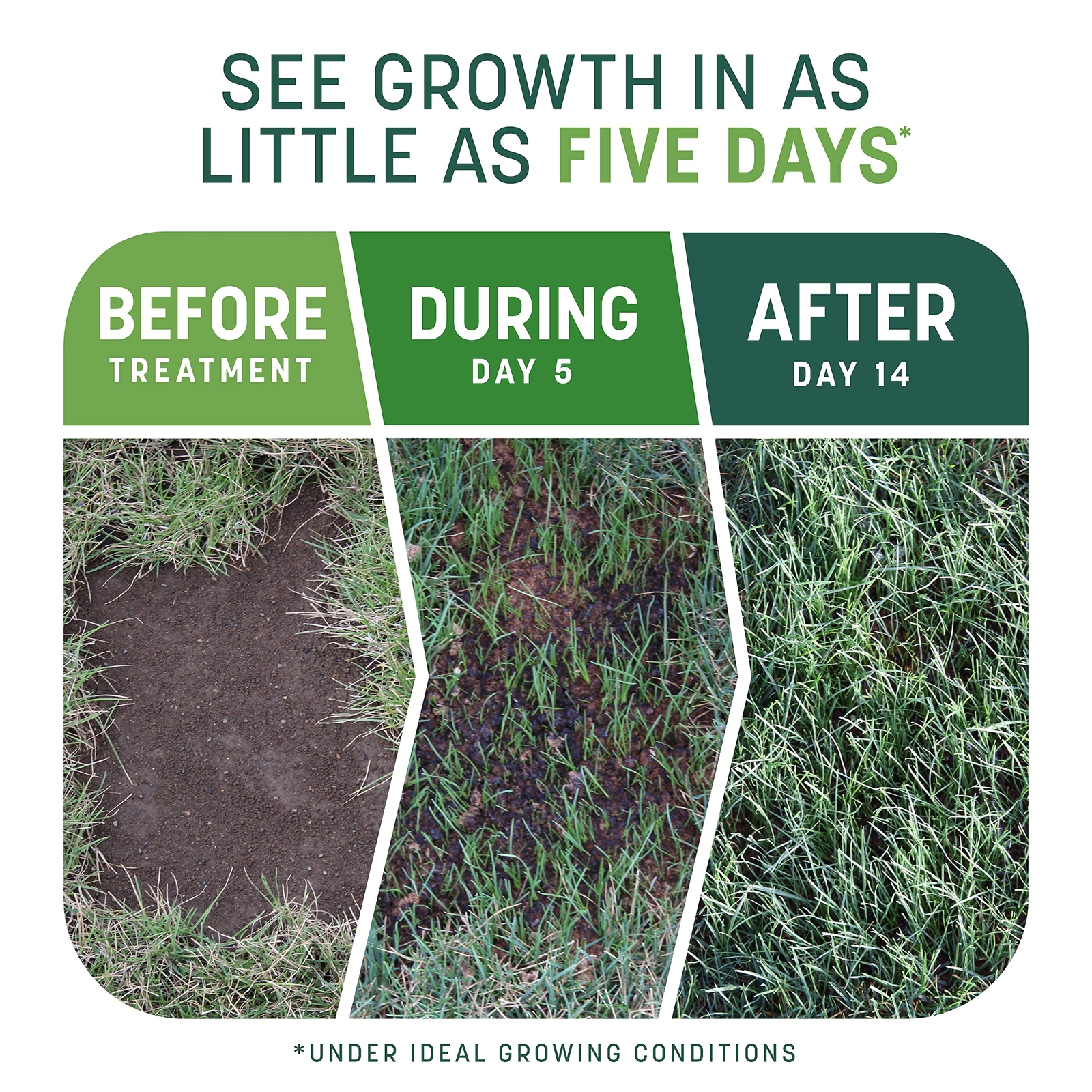 10 lb Smart Seed Fertilizer and Mulch for Repairing Bare Lawn Spots
