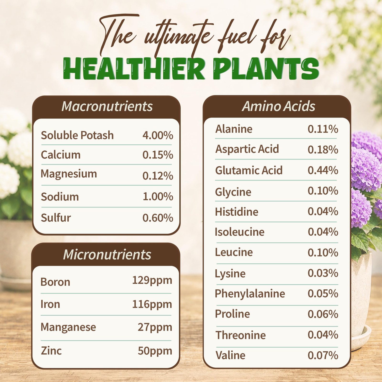 Organic Hydrangea Fertilizer, 8oz Makes 48 Gallons, Liquid Kelp Plant Food | …