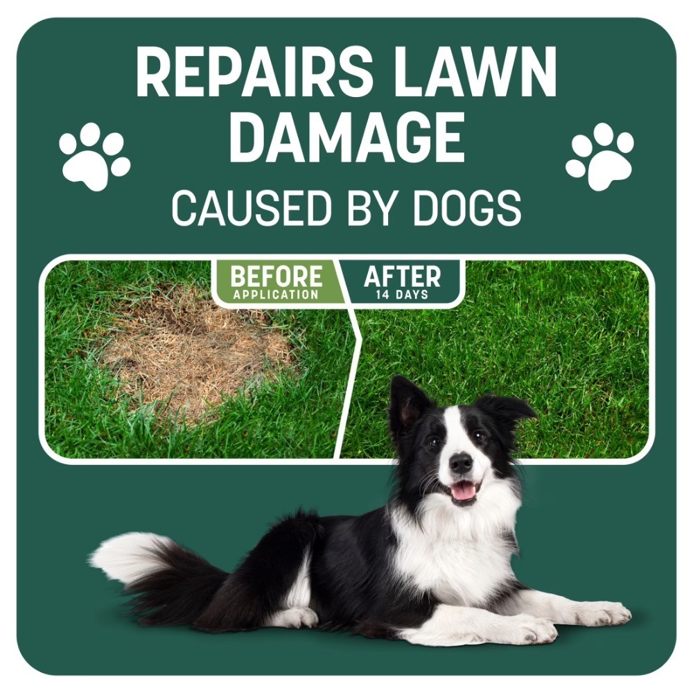 Sun and Shade Grass Seed Mix for Lawns, Partial Sun to Partial Shade Coverage,