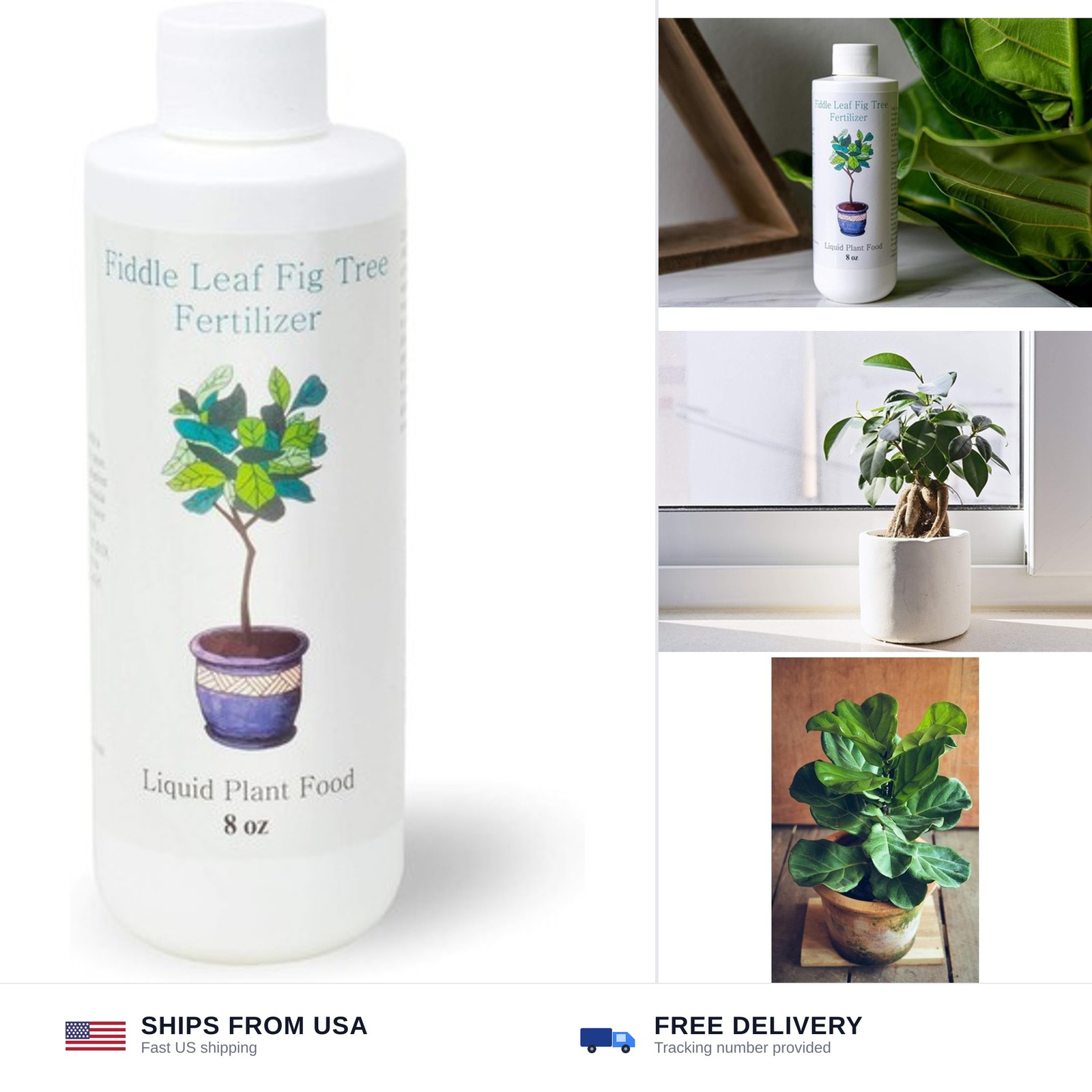 Fiddle Leaf Fig Tree Fertilizer | Ficus Plant Food | Improves Leaves and Bran…
