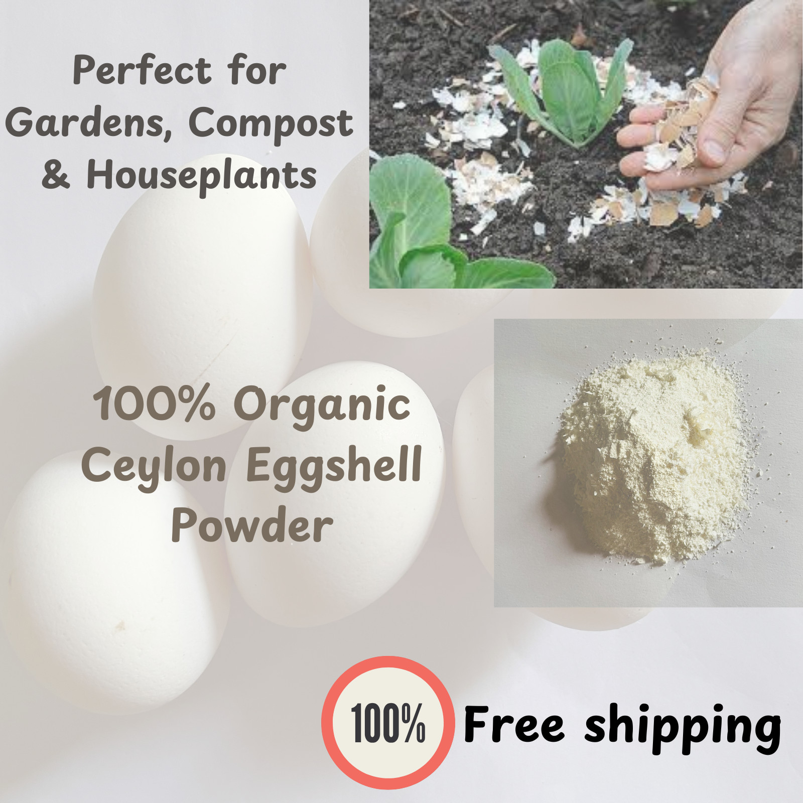 100% Organic Ceylon Eggshell Powder – Natural Fertilizer & Soil Booster