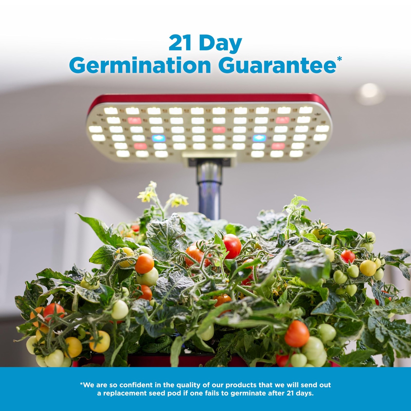 AeroGarden Harvest Lite, Cherry Red | Soil-free Indoor Hydroponic Garden with…