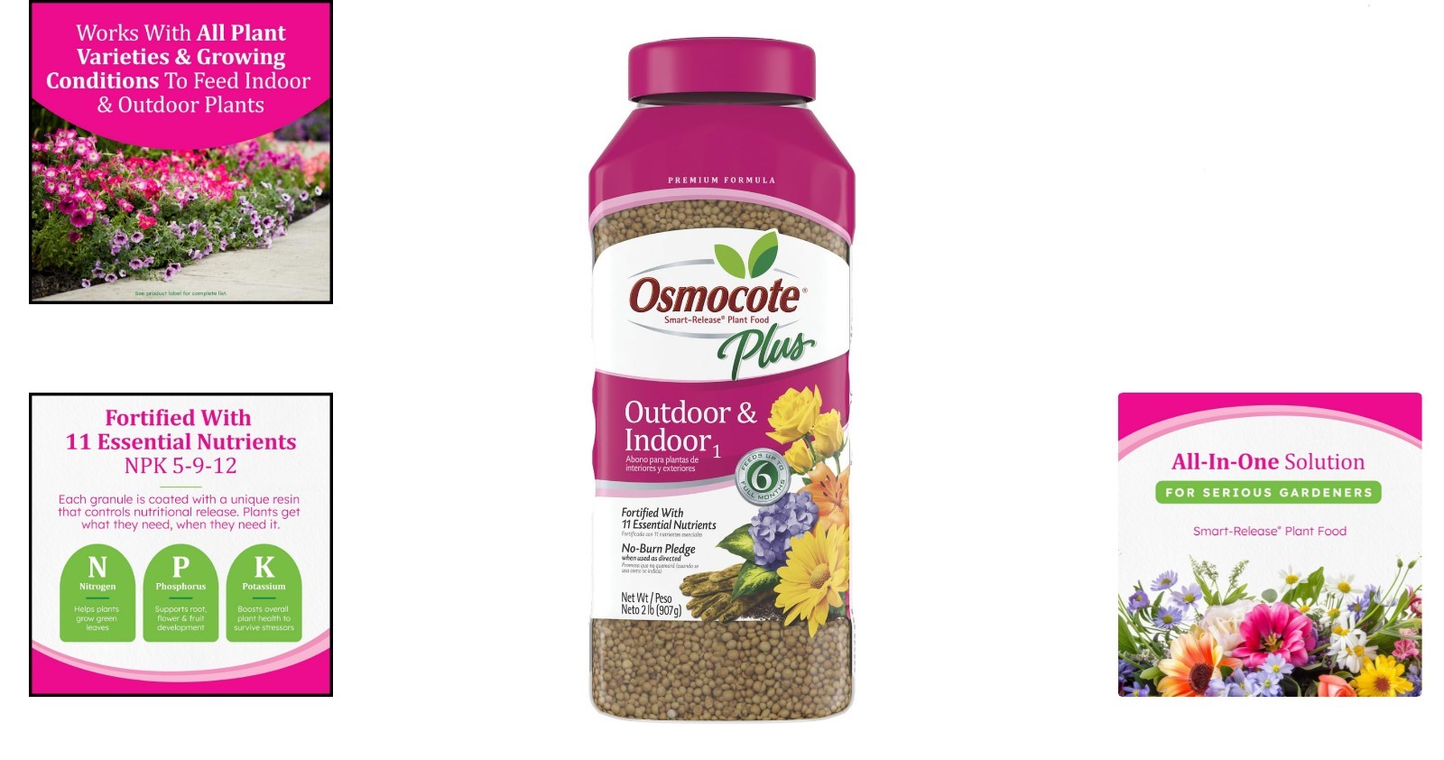 Continuous Release Plant Food Plus – 2 lbs. for Healthy Indoor & Outdoor Plants