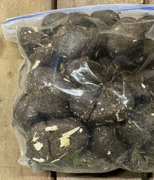 4+ pounds Fresh All Purpose Horse Manure – Organic Gardening Fertilizer Flowers