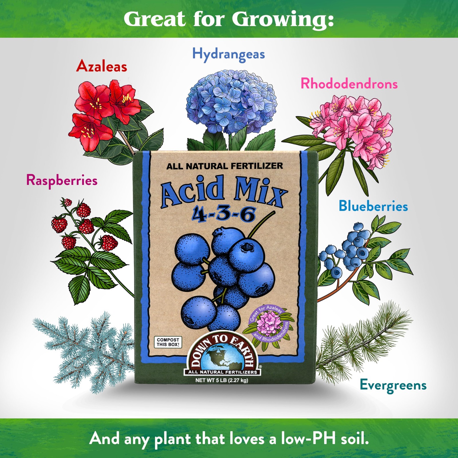 Organic Acid Mix – Plant Food for Blueberries, Raspberries, Azaleas and Rhodo…