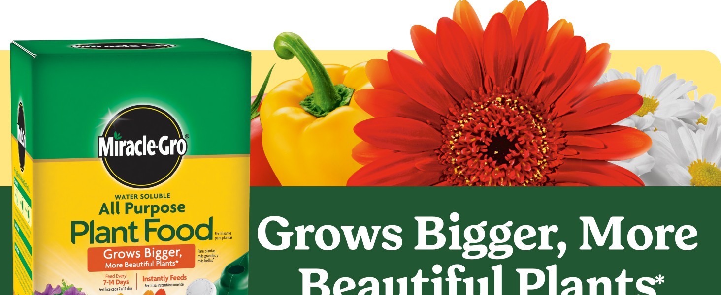 Miracle-Gro All Purpose Plant Food 1.5 lb Water Soluble Indoor & Outdoor Plants