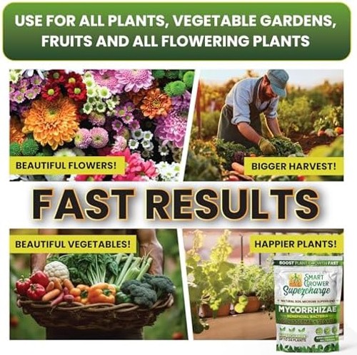 Mycorrhizal Fungi with Beneficial Bacteria, Trichoderma, Sea Kelp, Molasses, …
