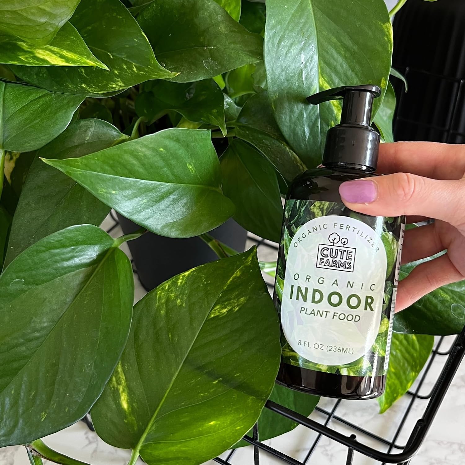 Organic Liquid Plant Food for Houseplants & Outdoor Pot Plants – All-Purpose