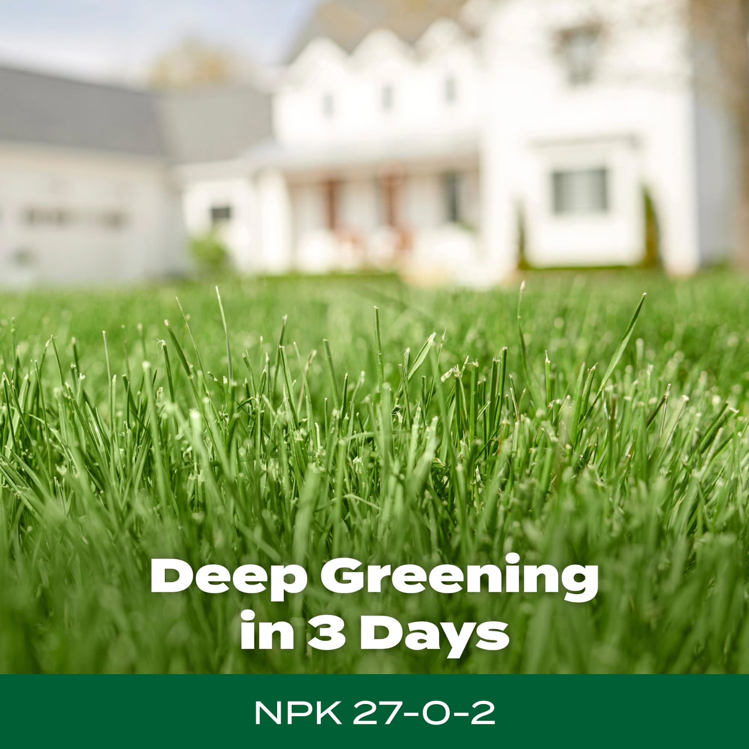 Scotts Green Max Lawn Food, Fertilizer Plus Iron Supplement 5,000sq ft,16.67lbs.