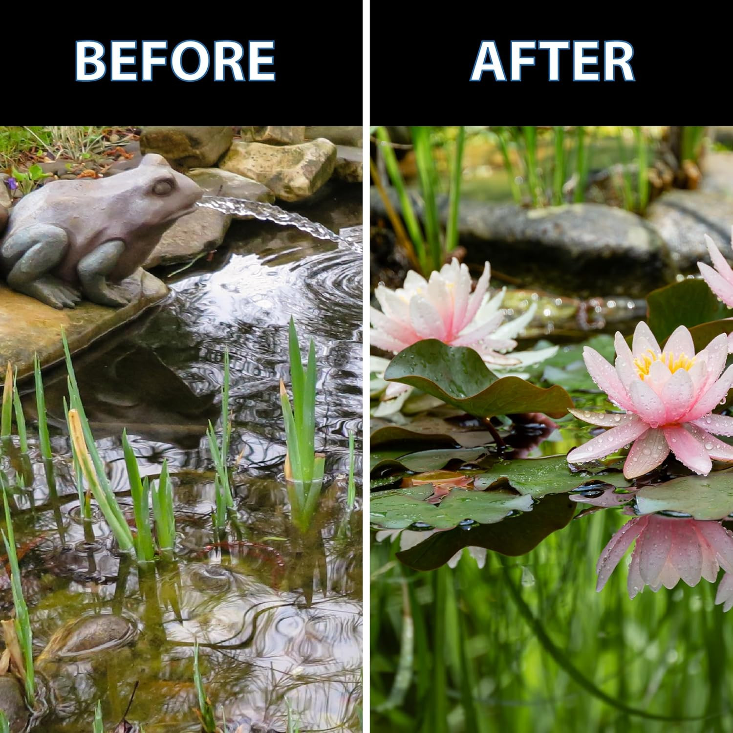 Thrive Aquatic Pond Plant Food, Fish Safe Water Garden Fertilizer, Nutrients Boo