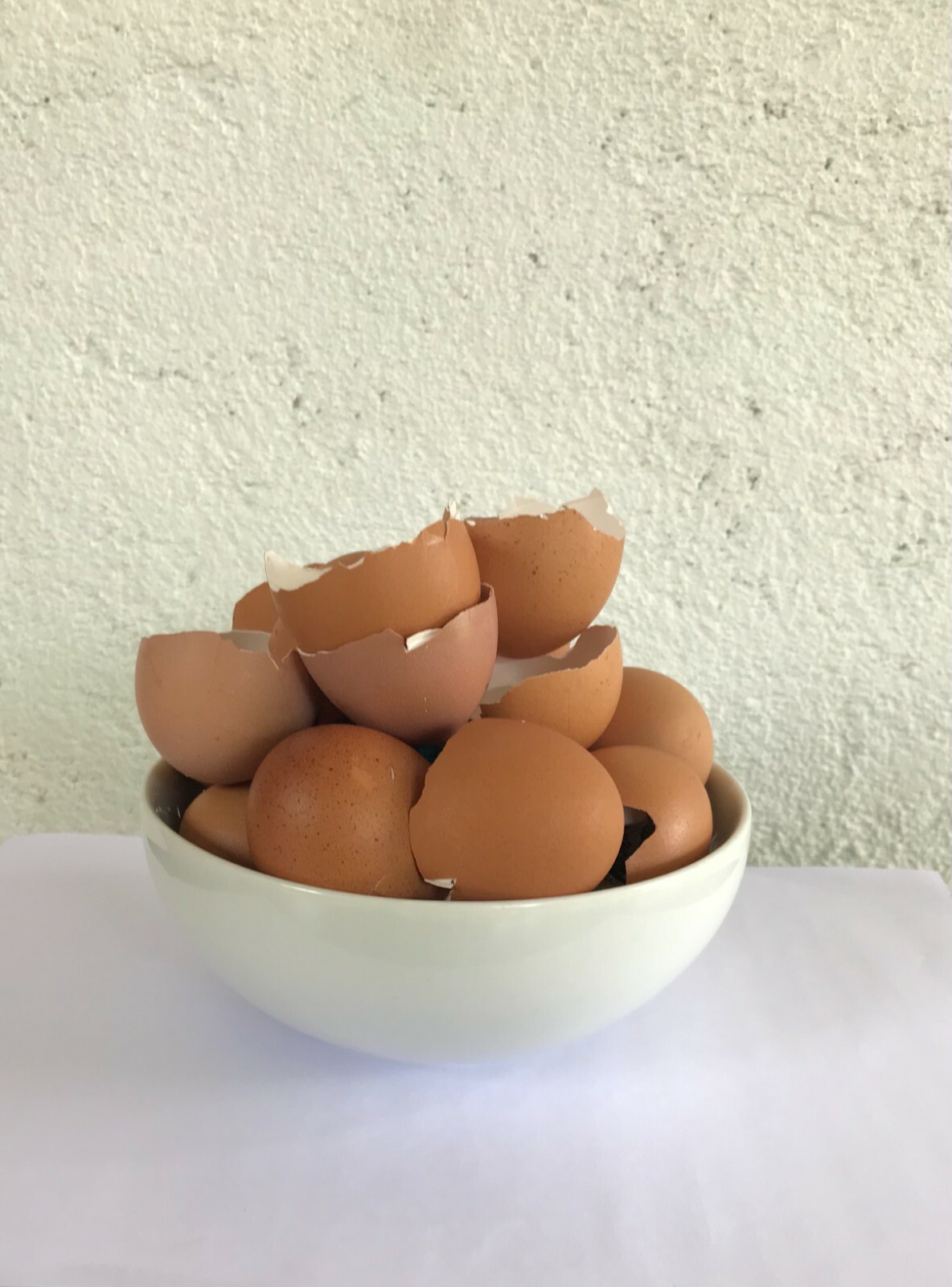 500g Crushed Egg Shell Garden Calcium Organic Fertilizer Pest Control Plant G