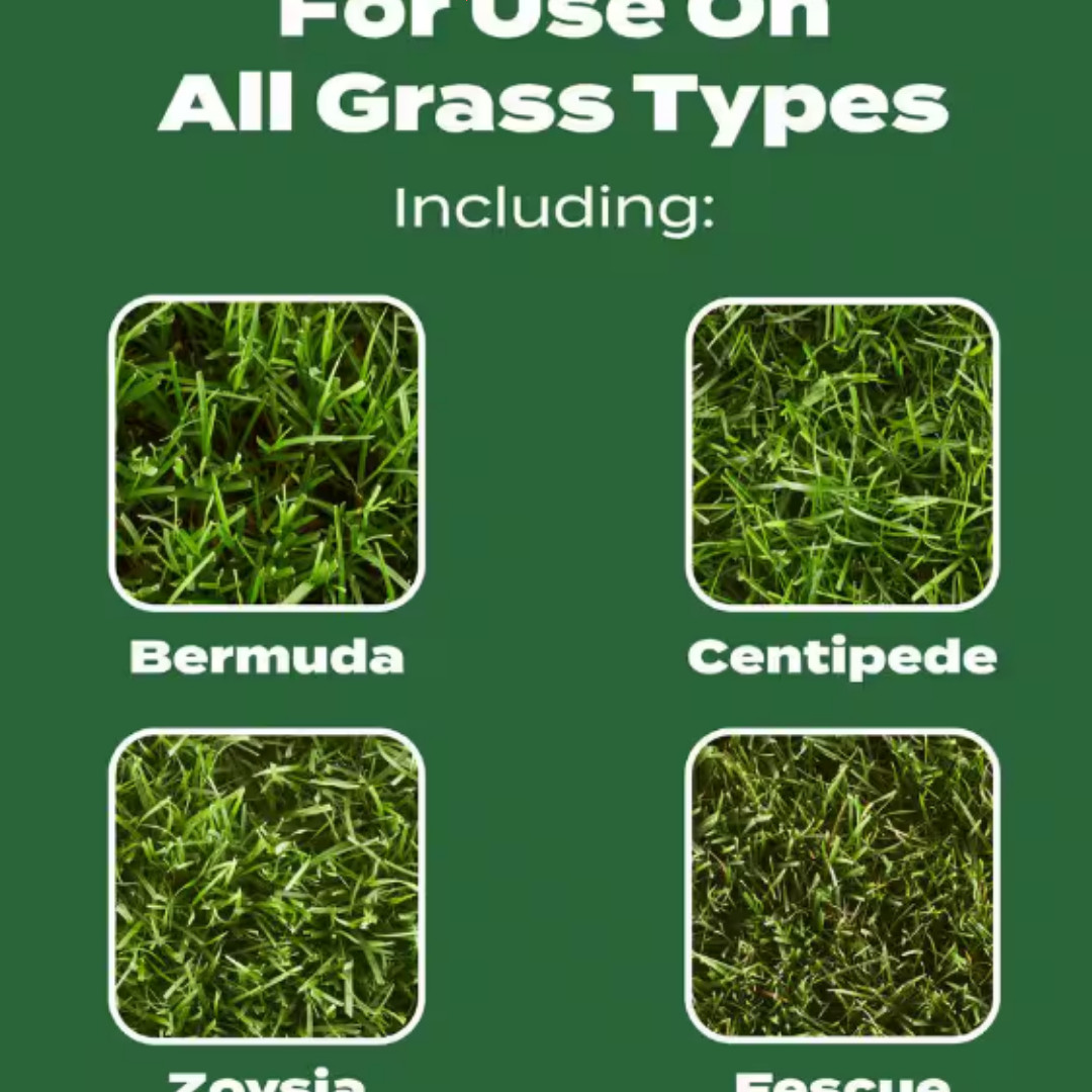 Turf Builder 37.5 lbs. 15,000 sq. ft. Dry Lawn Fertilizer for All Grass Types