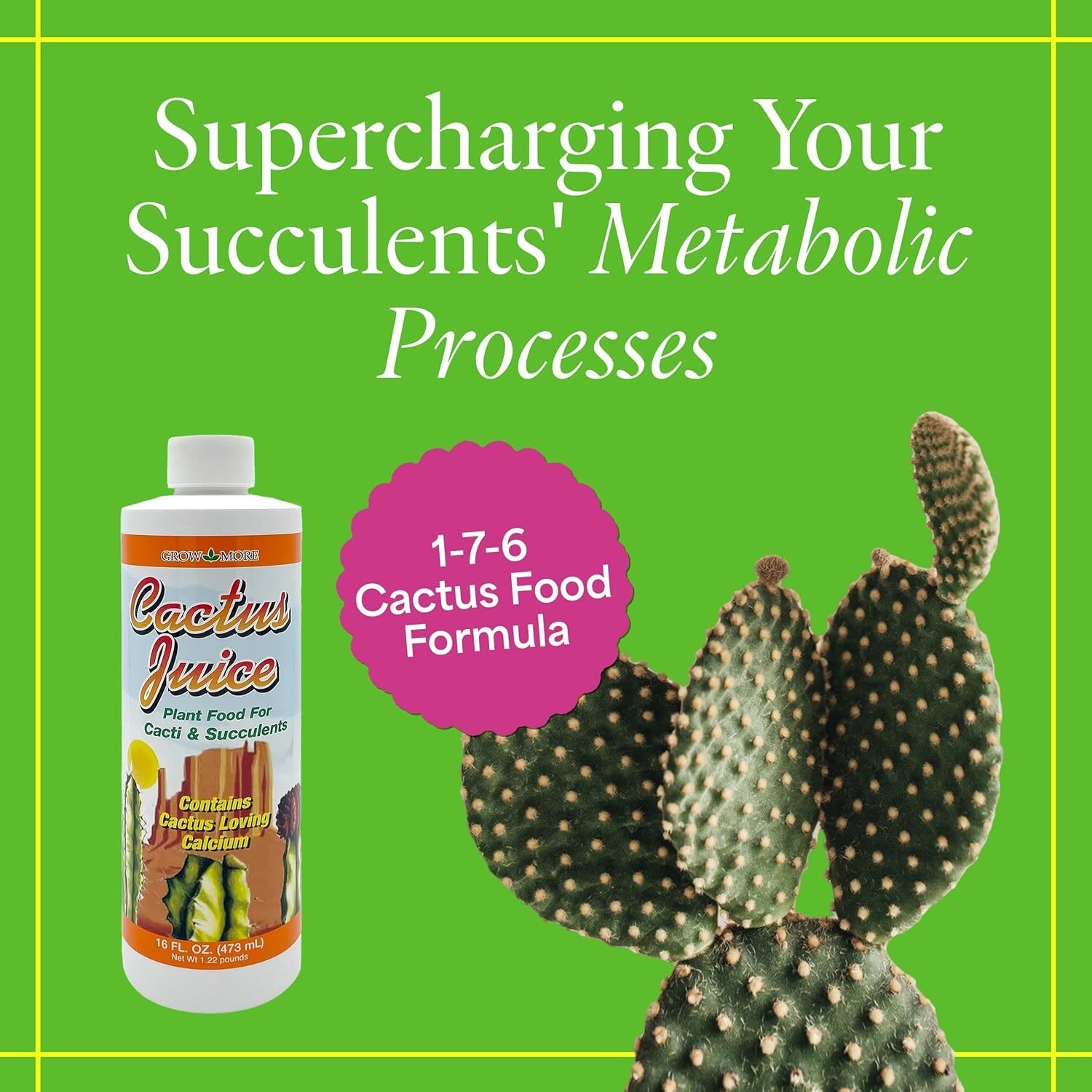 Cactus Juice 1-7-6 – 16oz of Succulent Fertilizer – Cactus Food for Growth & …