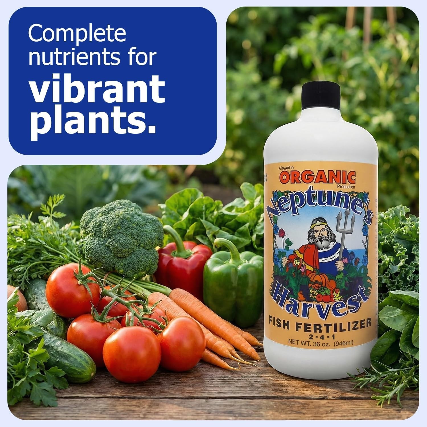 Fish Fertilizer 2-4-1 – Organic Liquid Plant Fertilizer – Fish Hydrolysate fo…