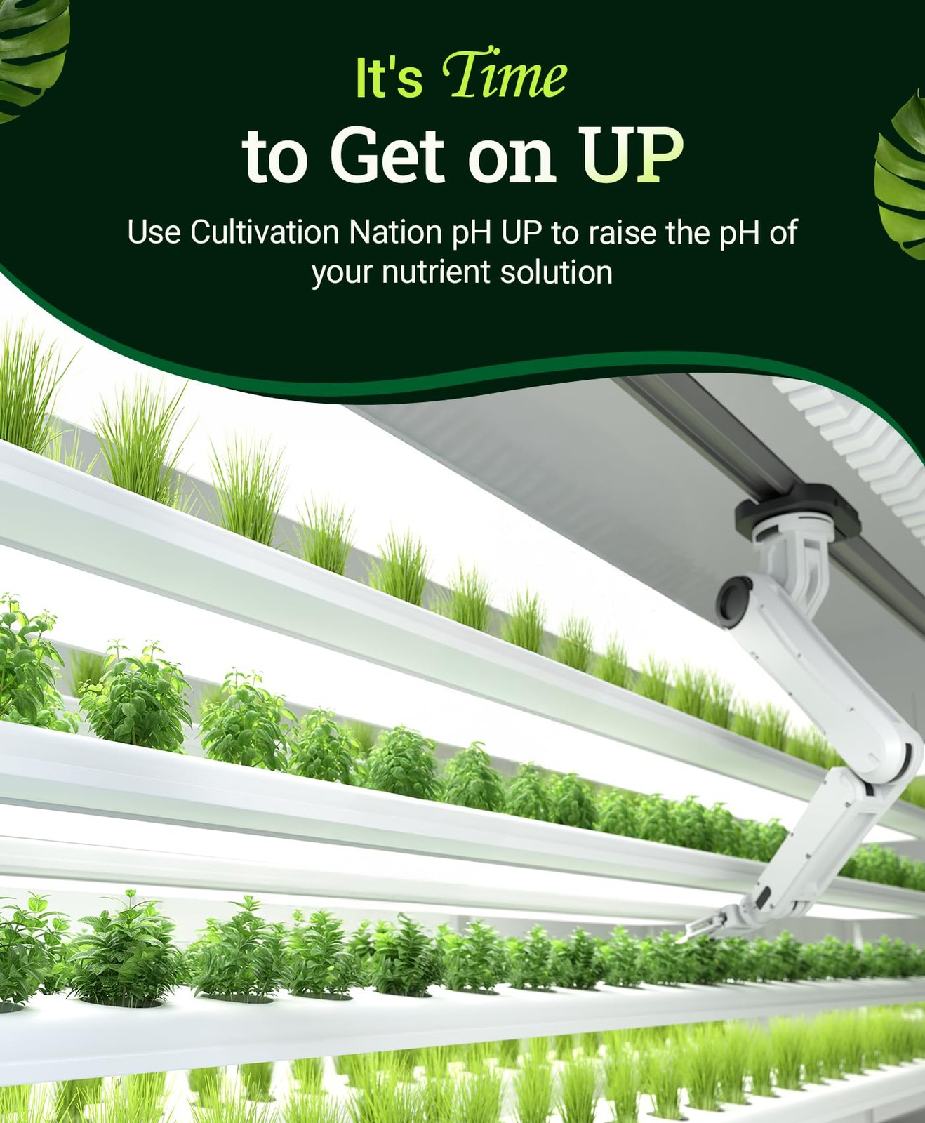 pH UP for Plants Potassium Hydroxide Solution for Soil & Hydroponics 1 Quart