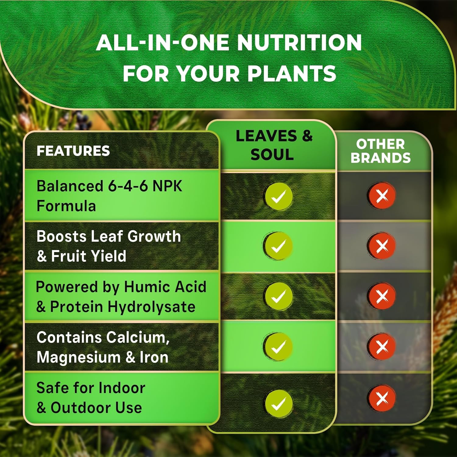 Professional Pine Tree Fertilizer Liquid Concentrate – 6-4-6 Blend for Pine, Gar