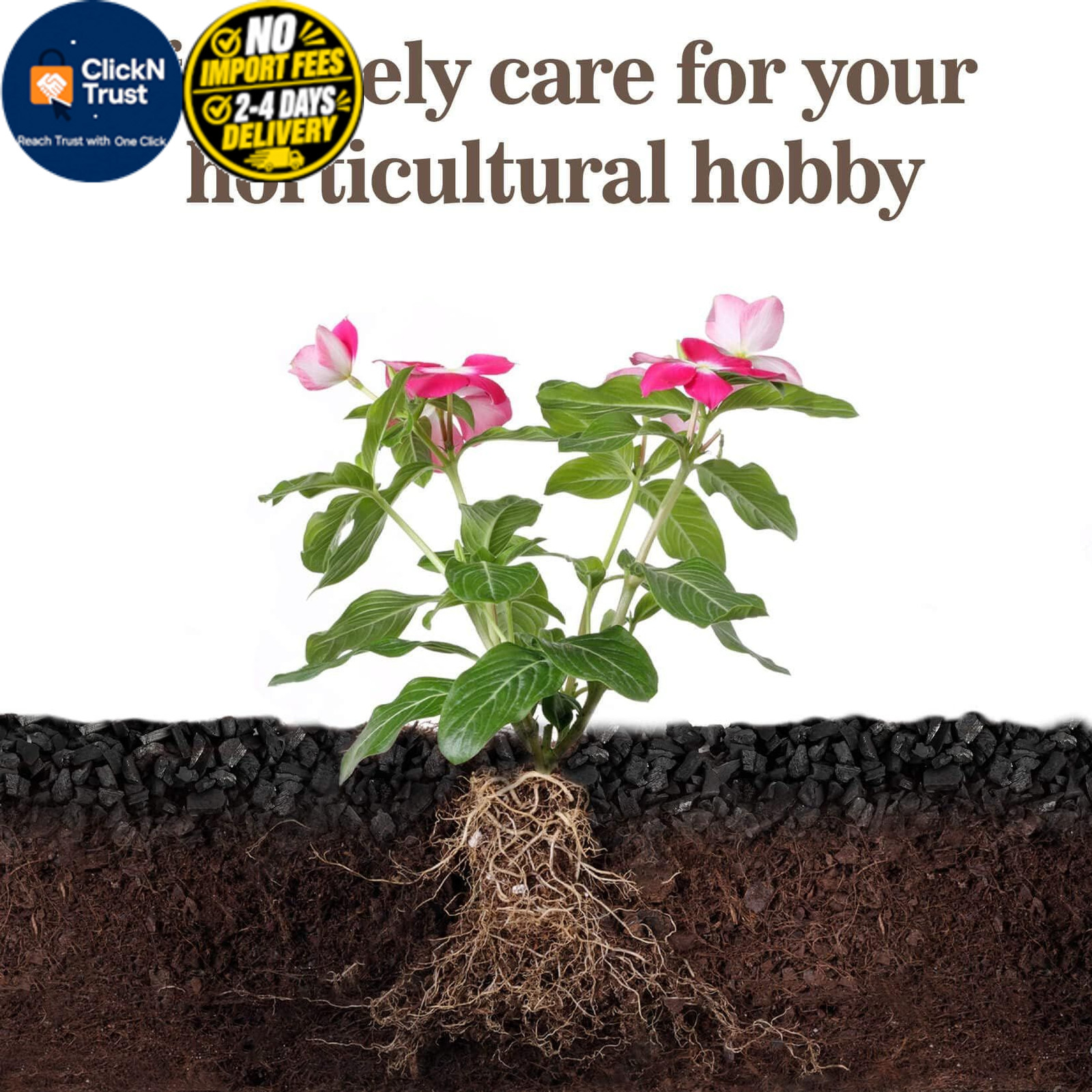 RAINFLOW Horticultural Charcoal for Plants – 290G Natural Earth Regulated…