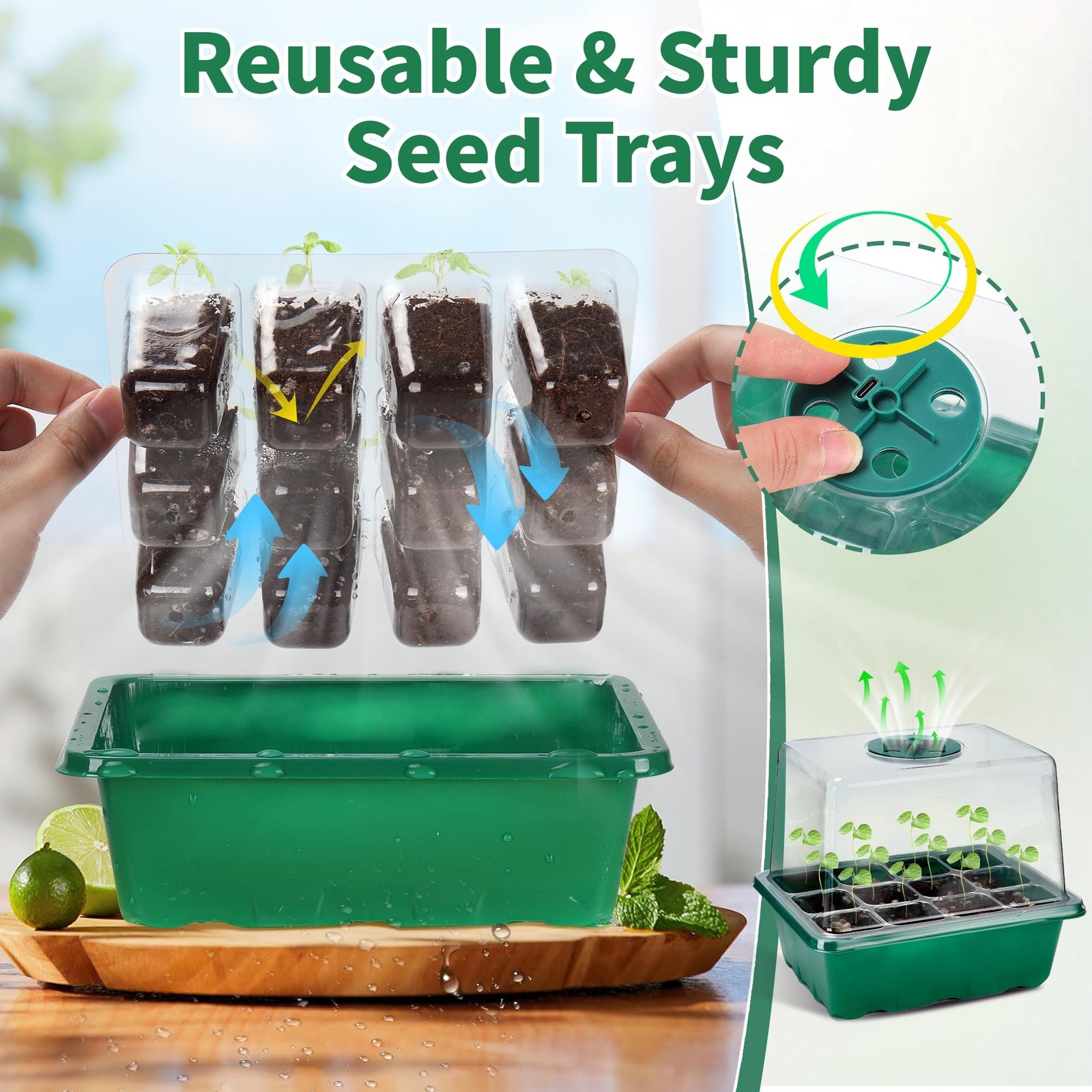 4-Pack Seed Starter Tray with Grow Light and Heat Mat, 48 Cells Seed Starter …