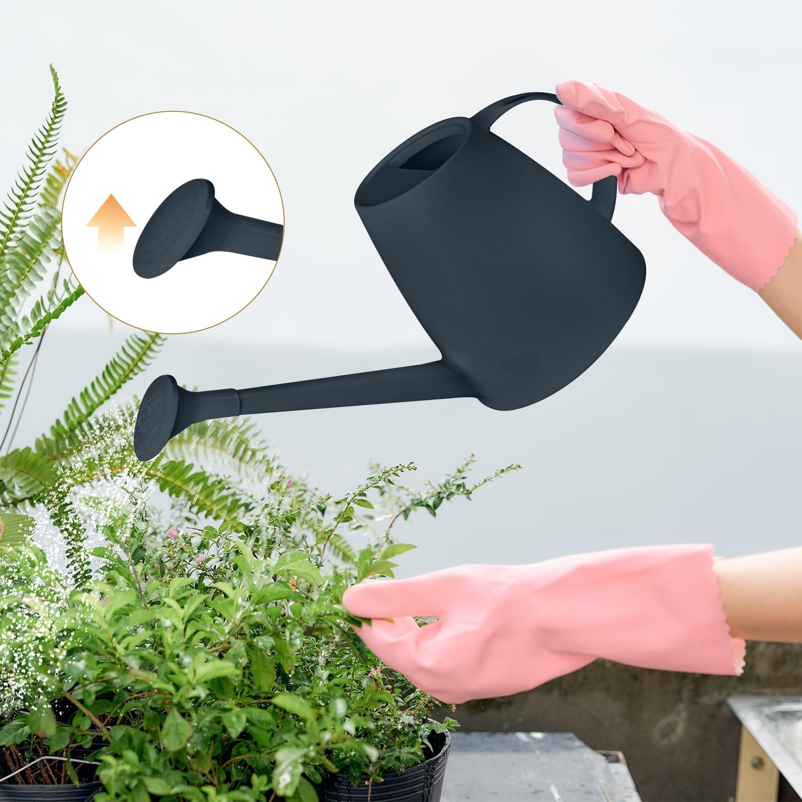 Watering Can – for Indoor and Outdoor House Plant Garden – with Long Spout – …