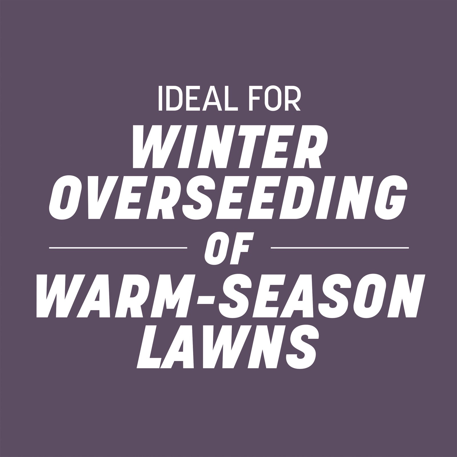 Pennington Annual Ryegrass Grass Seed, for Sun to Partial Shade, 20 lb.