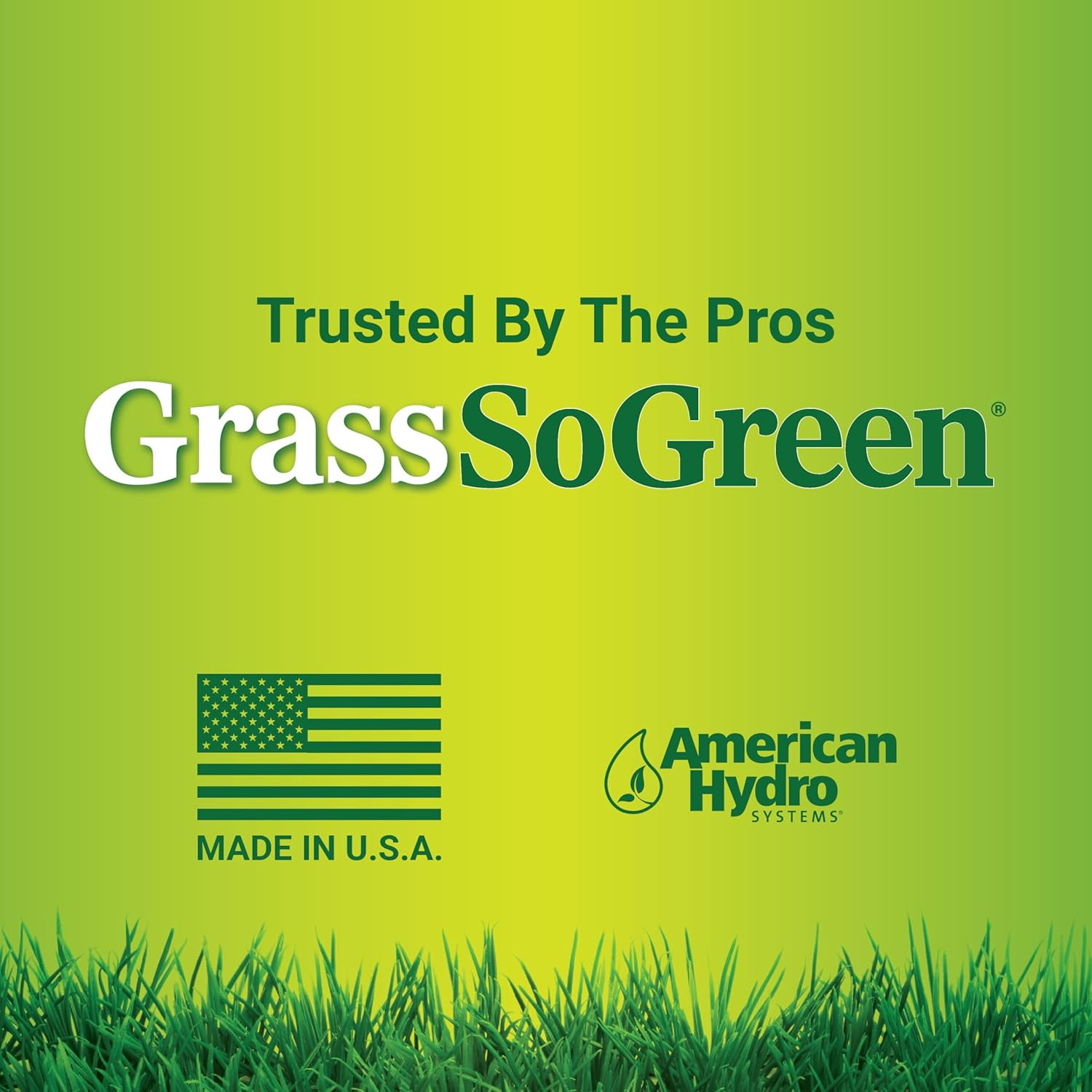 American Hydro Systems Grasssogreen Maintenance Formula, Grass and Landscape Fer