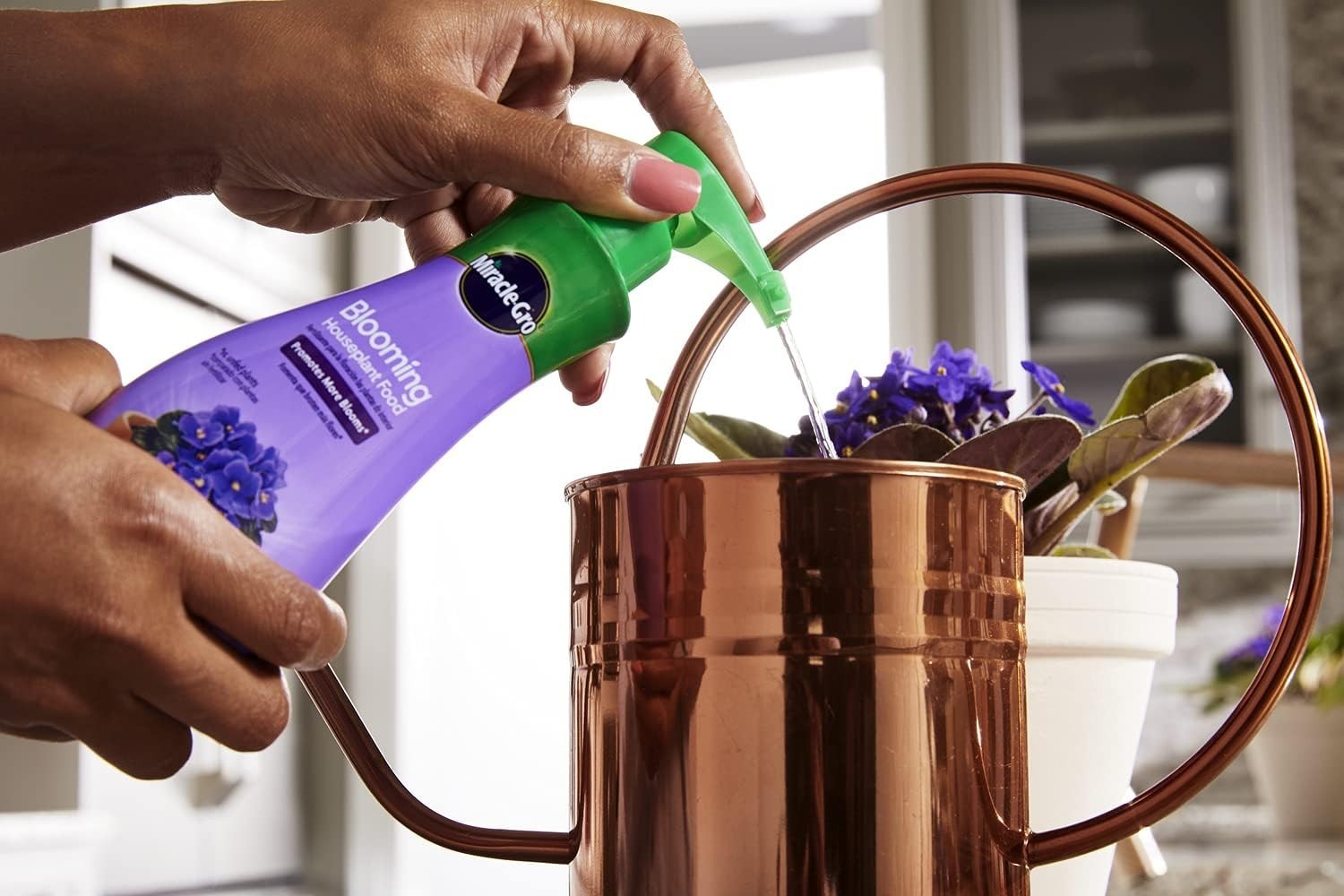 Blooming Houseplant Food 8 oz 6-Pack – Boost Your Blooming Plants’ Growth