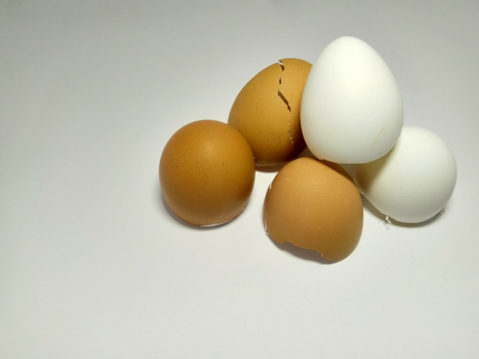 Crushed Eggshells 100% Organic Calcium Fertilizer & Calcium Supplement for Pets