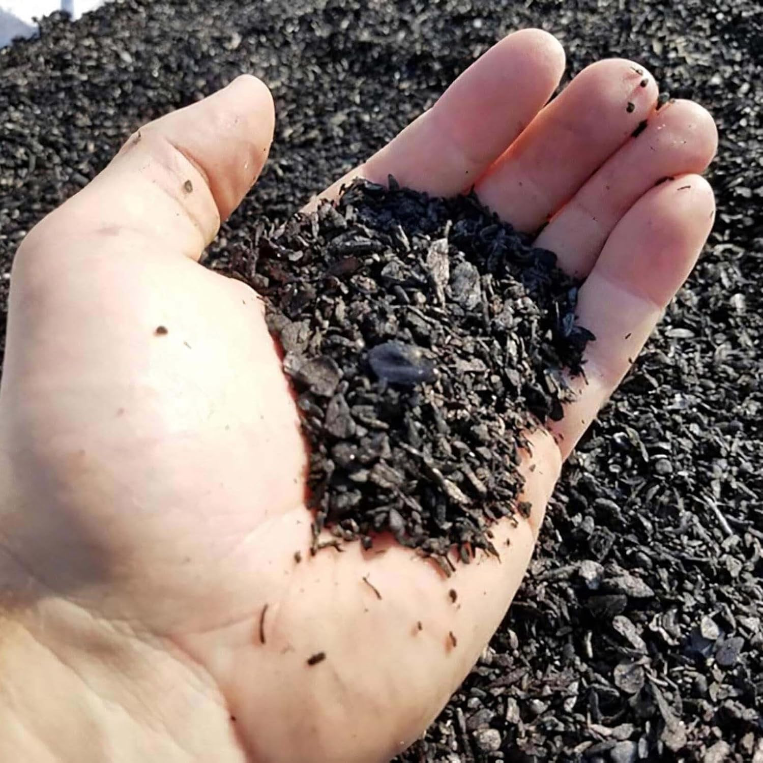 Char Bliss (8 Qts) – Organic Biochar for Plants – Omri-Listed Biochar Soil Amend