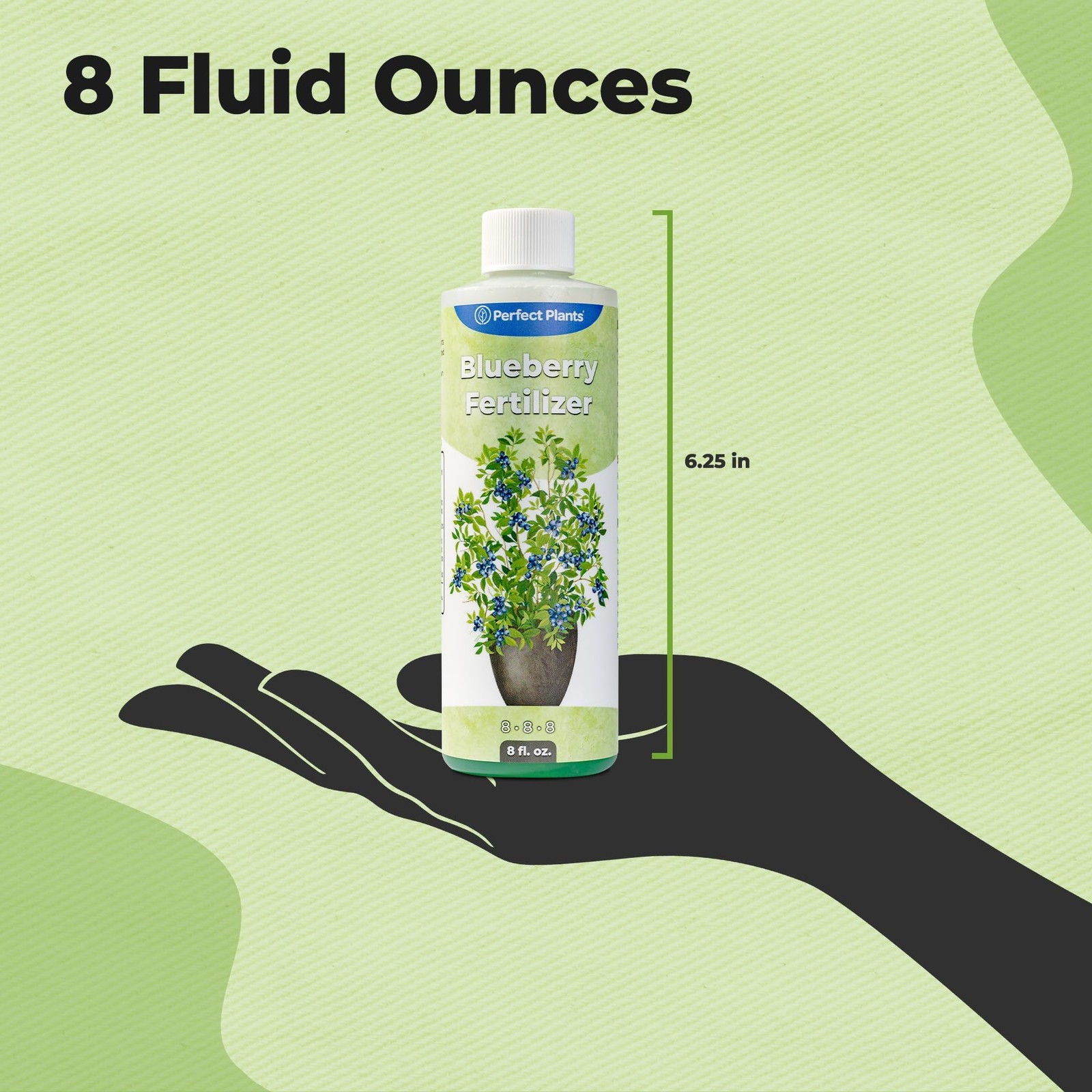 Liquid Blueberry Fertilizer by Perfect Plants | Berry Booster | Premium Ferti…
