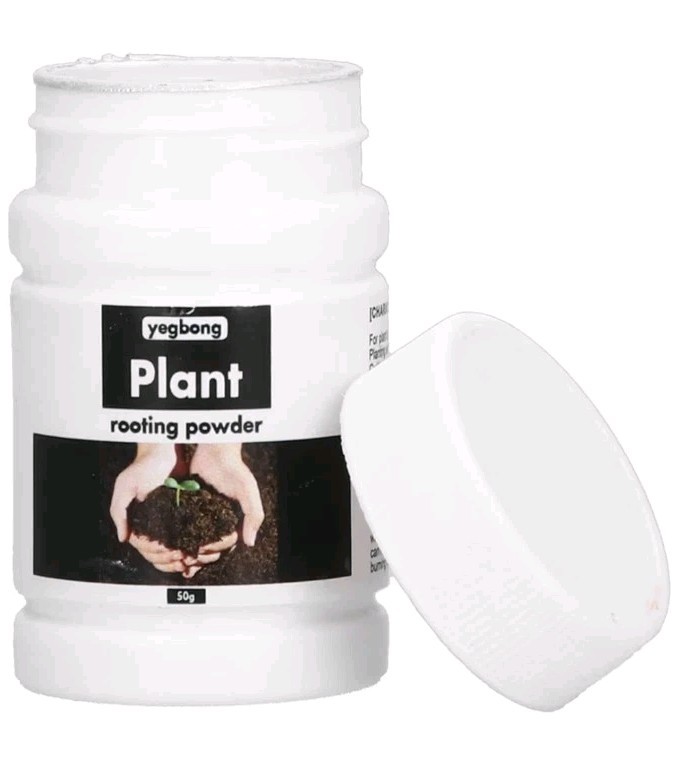 Plant Rooting Powder, 50 Grams….4 Bottle Lot
