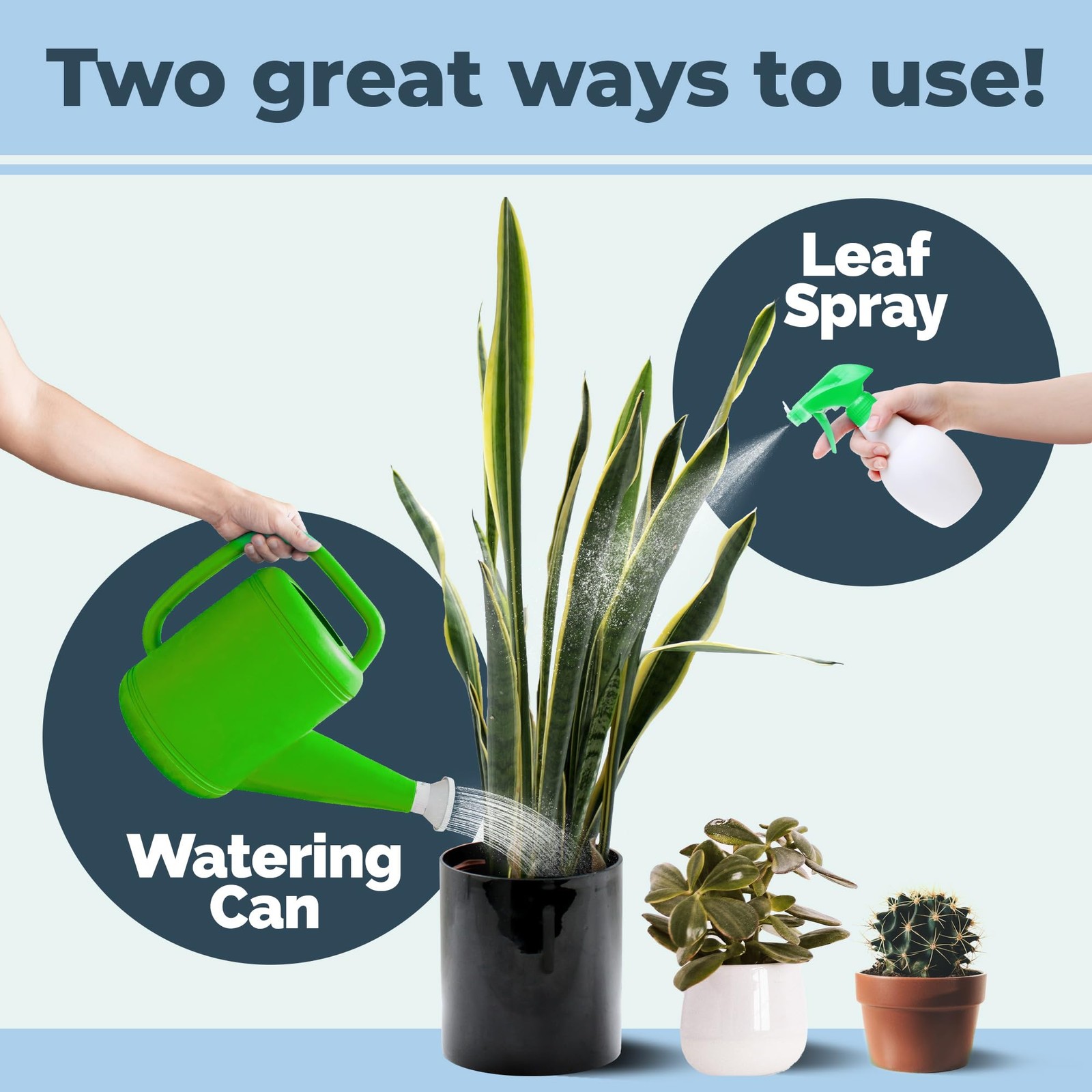 Succulent Fertilizer – Liquid Plant Food for Compact Growth, Vibrant Color & …