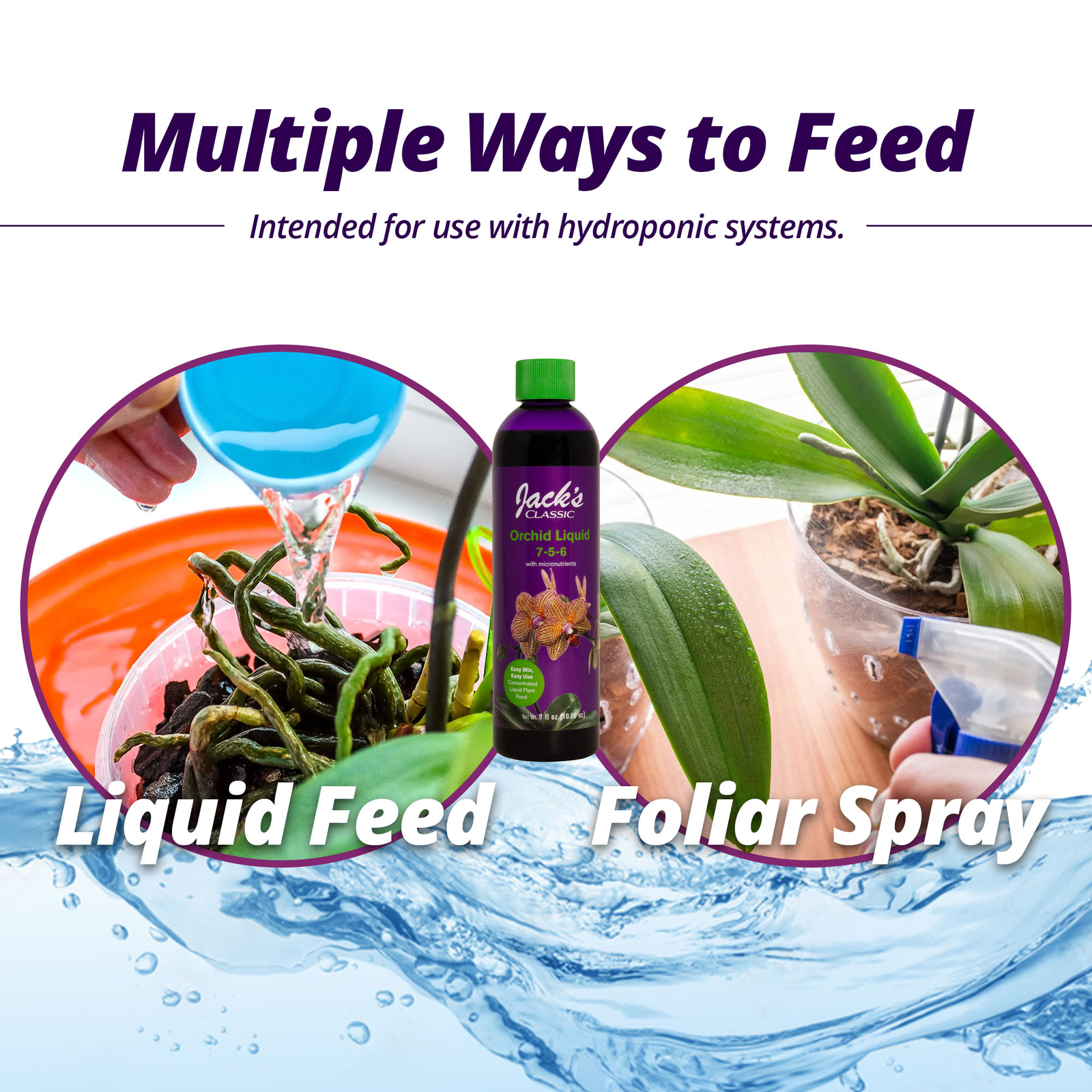 Jack’s Classic 7-5-6 Orchid Liquid Concentrated Fertilizer, 8 fl oz